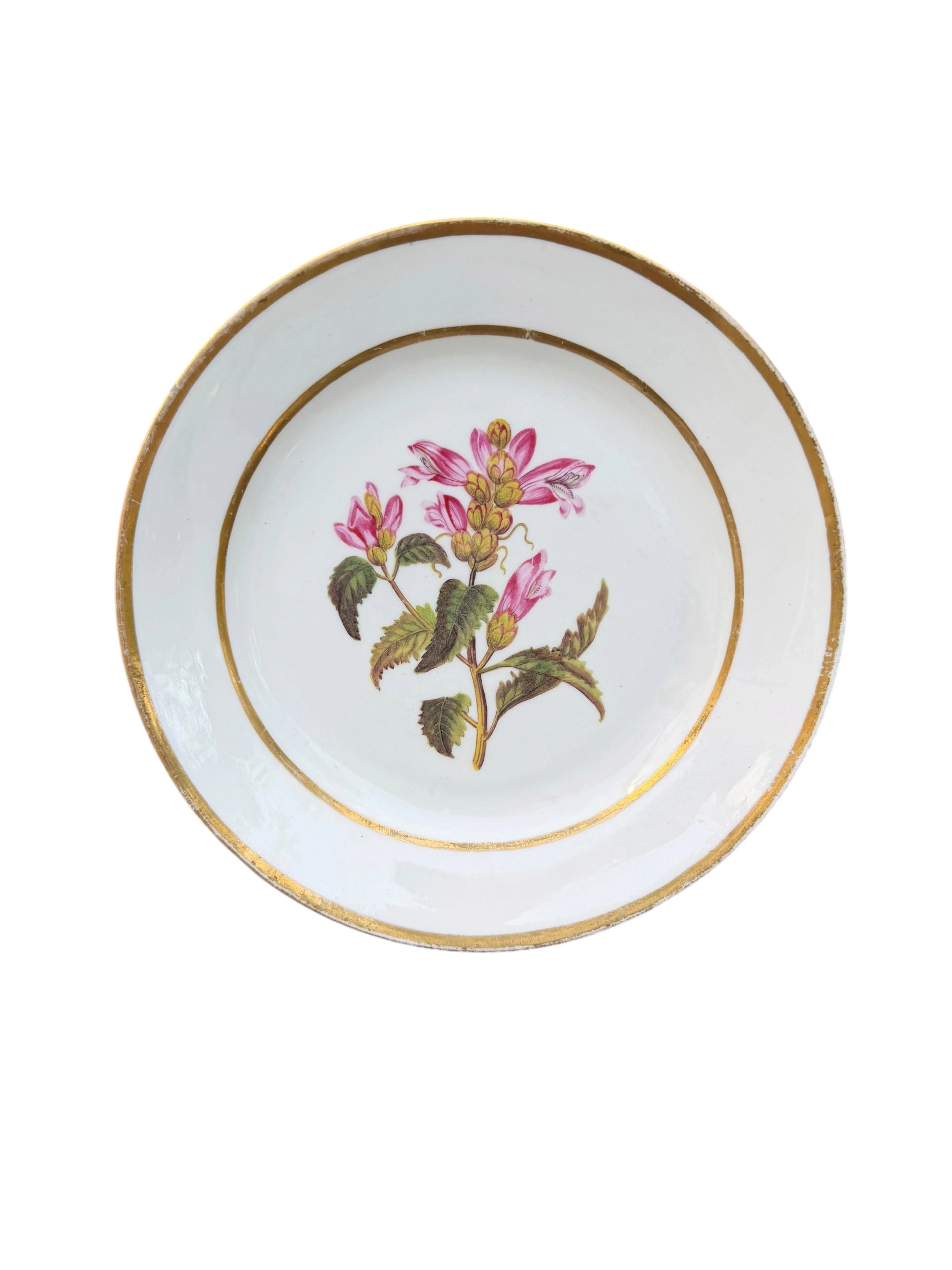 Swansea porcelain dish ‘Red Flowered Chilone’, c. 1820.