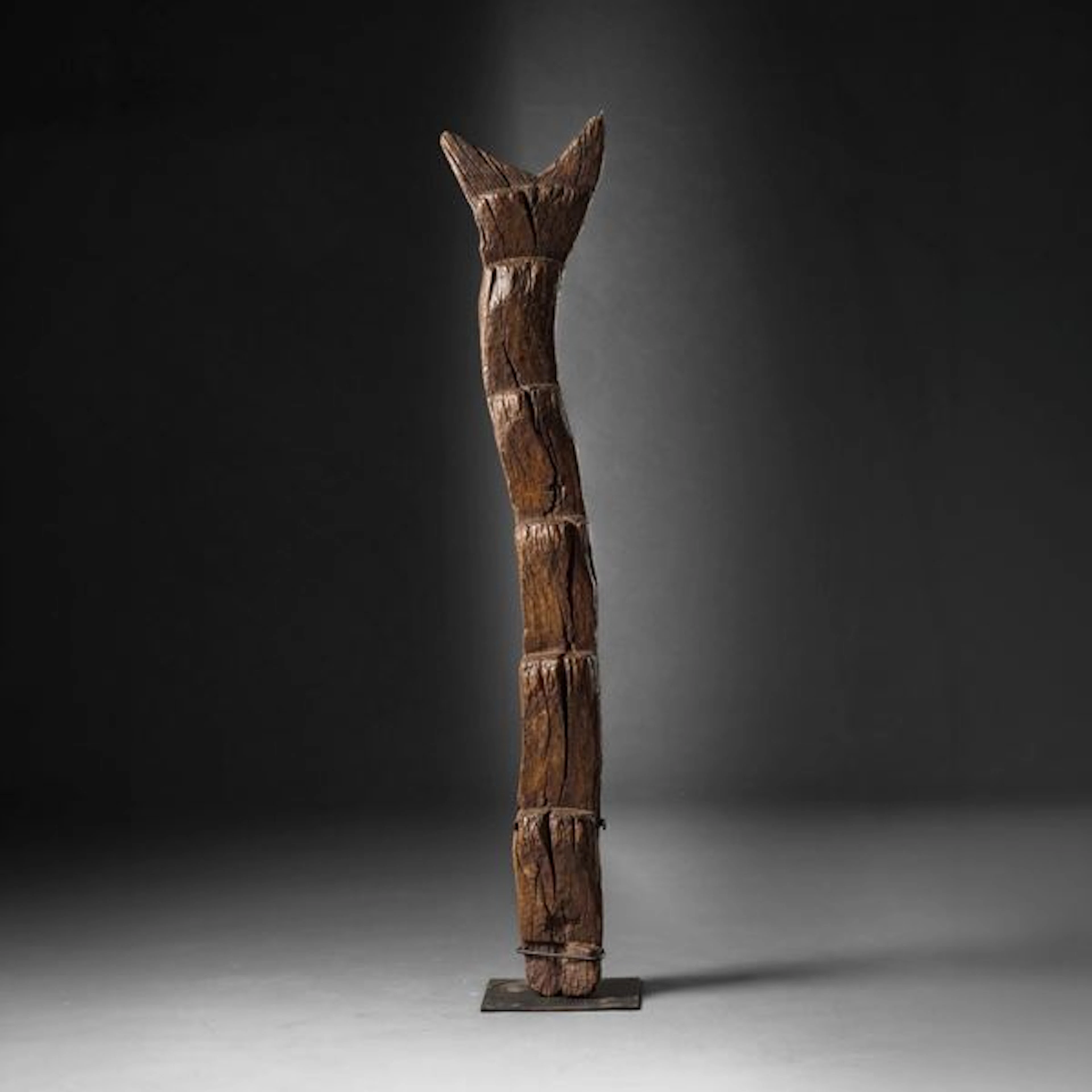 Dogon, Mali Ladder
