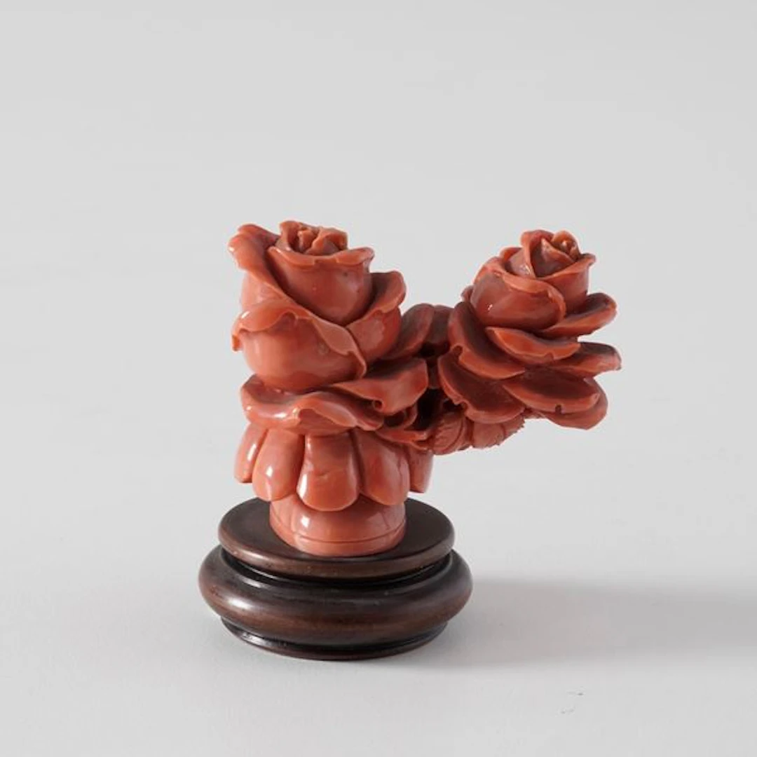 Coral roses