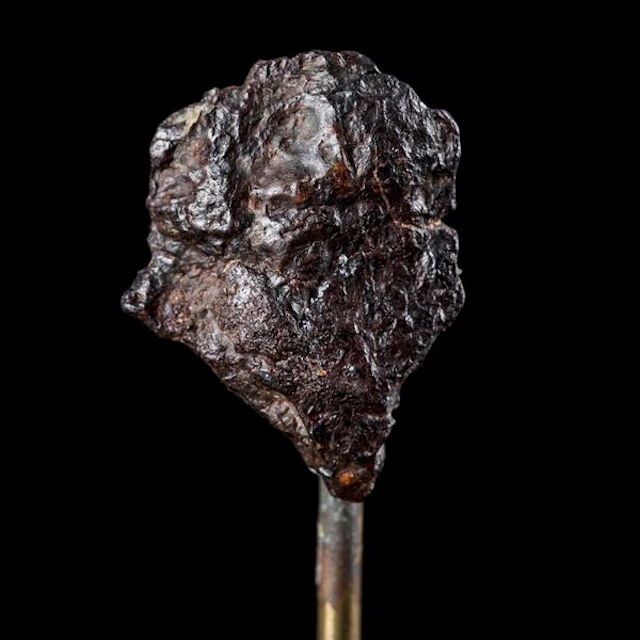 Rare fragment of a palassite meteorite