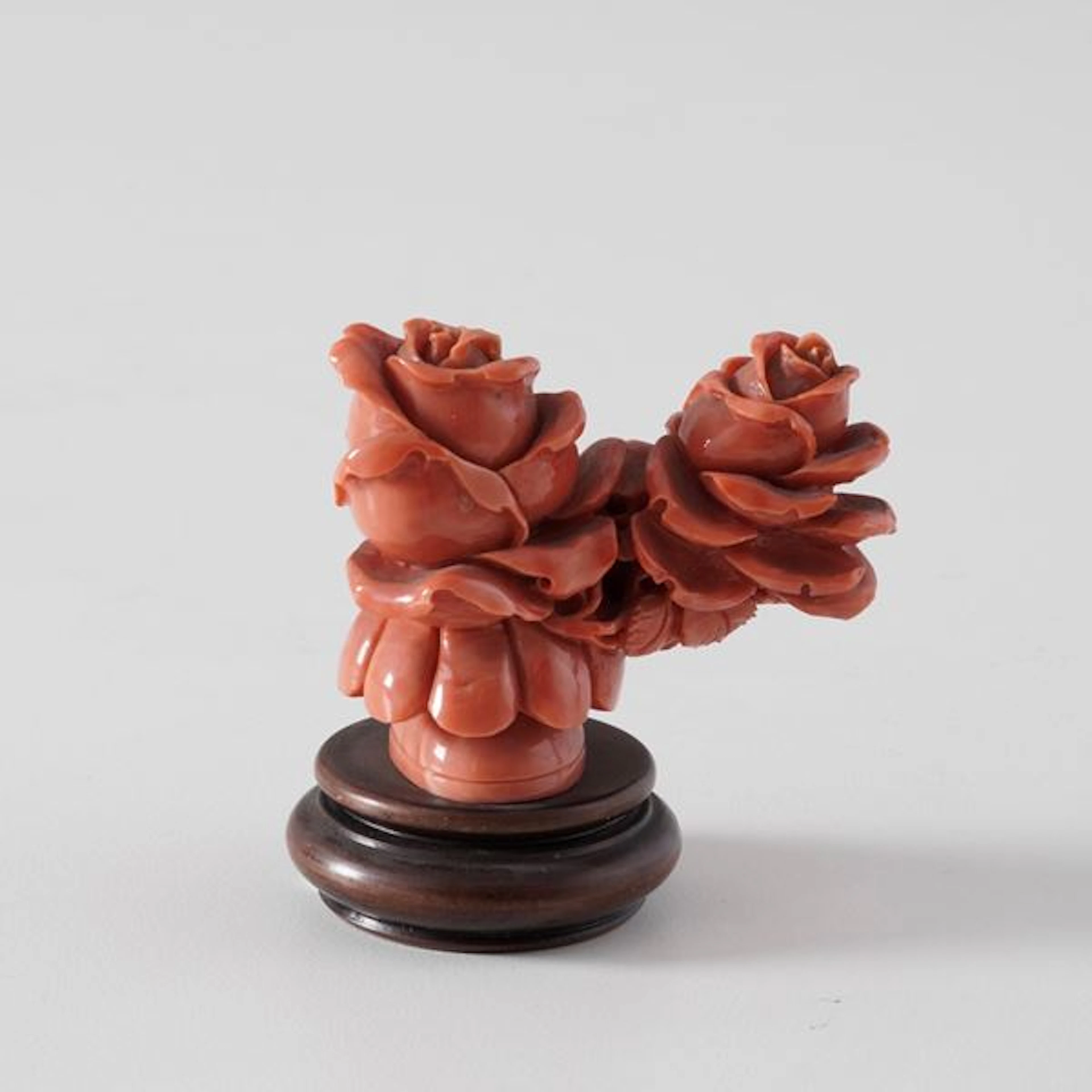 Coral roses
