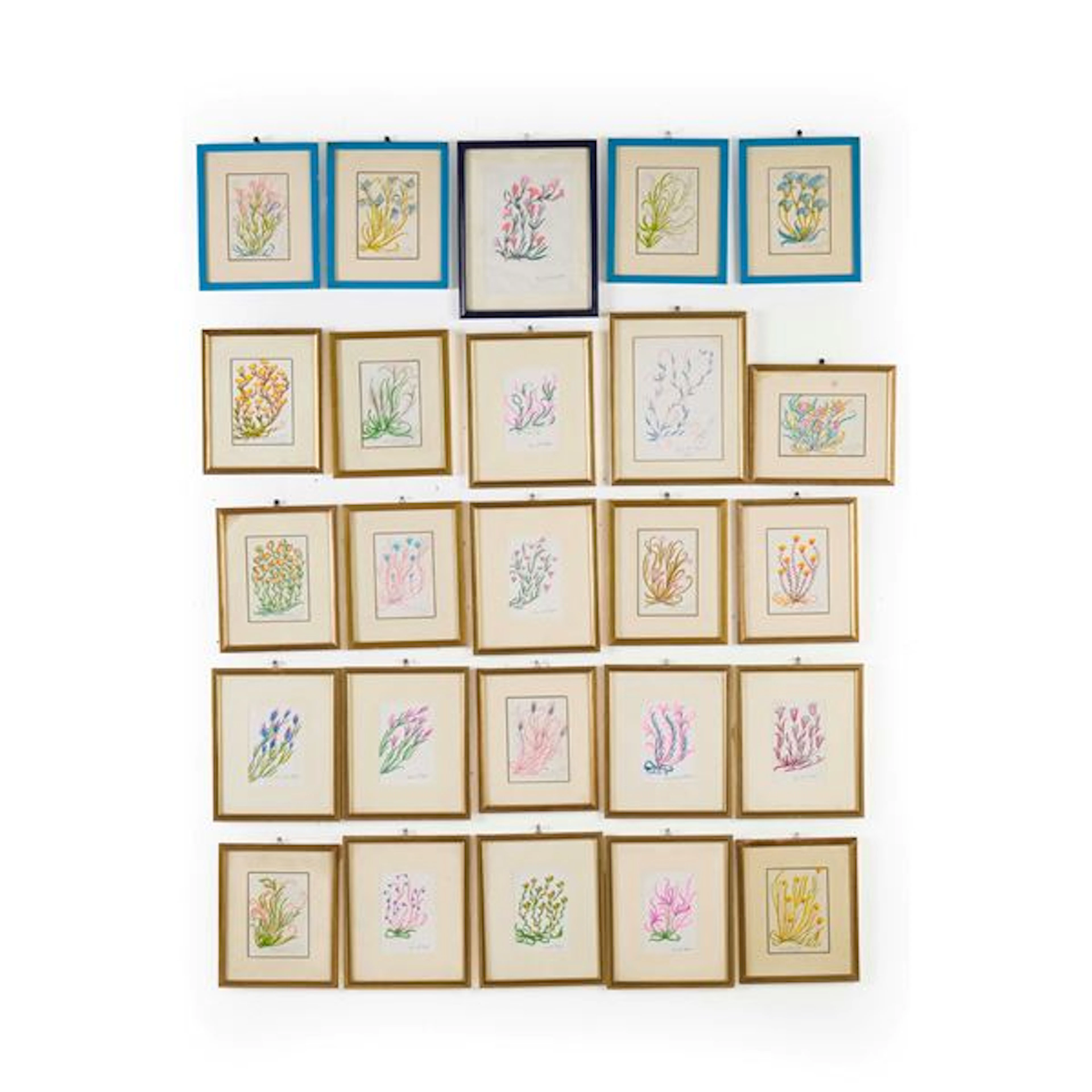 Venticinque disegni raffiguranti fiori, di Ana Maria DalÃ¬