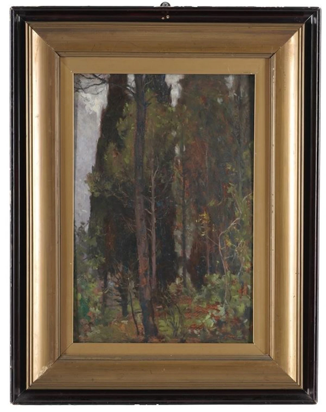 Paesaggio