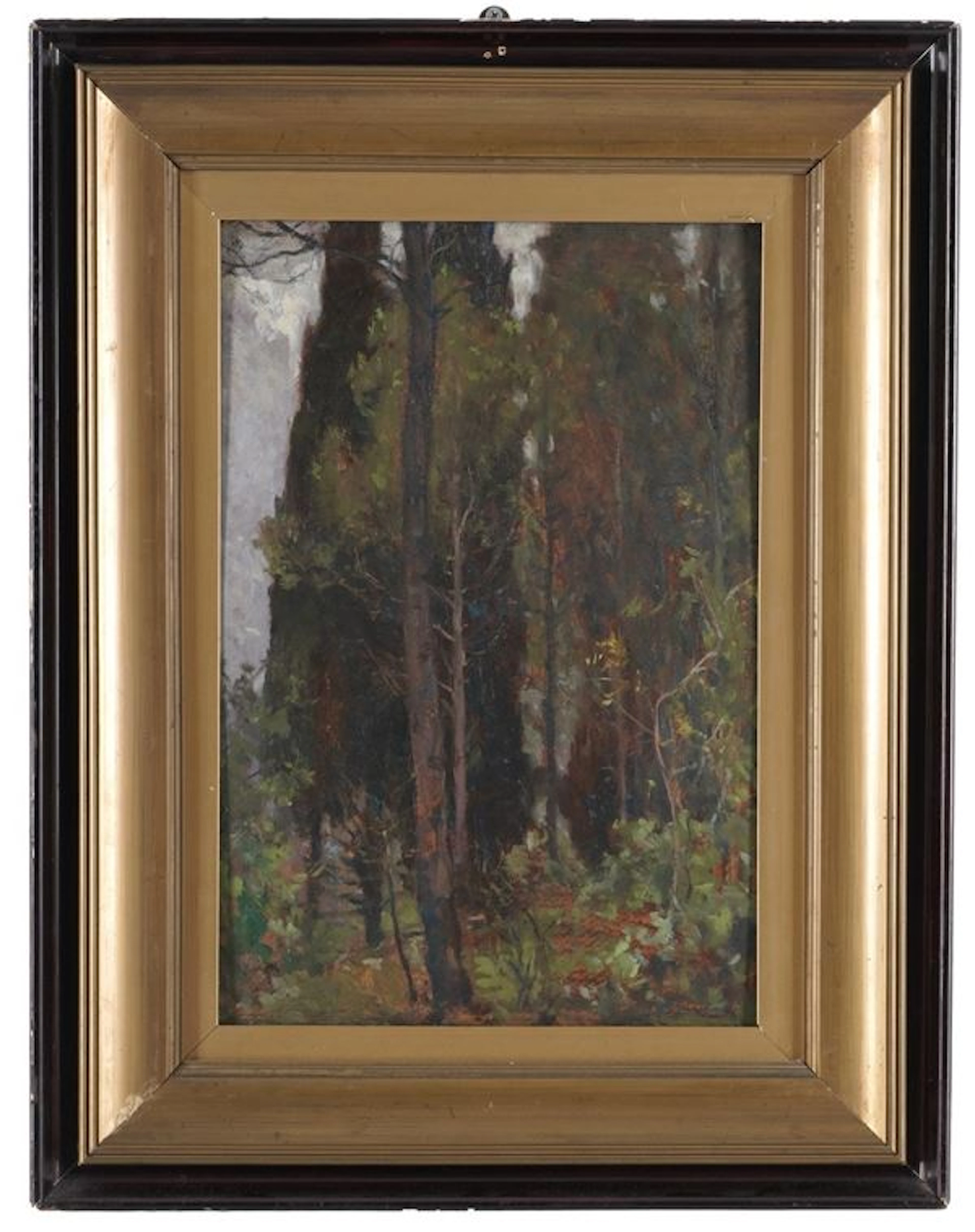 Paesaggio