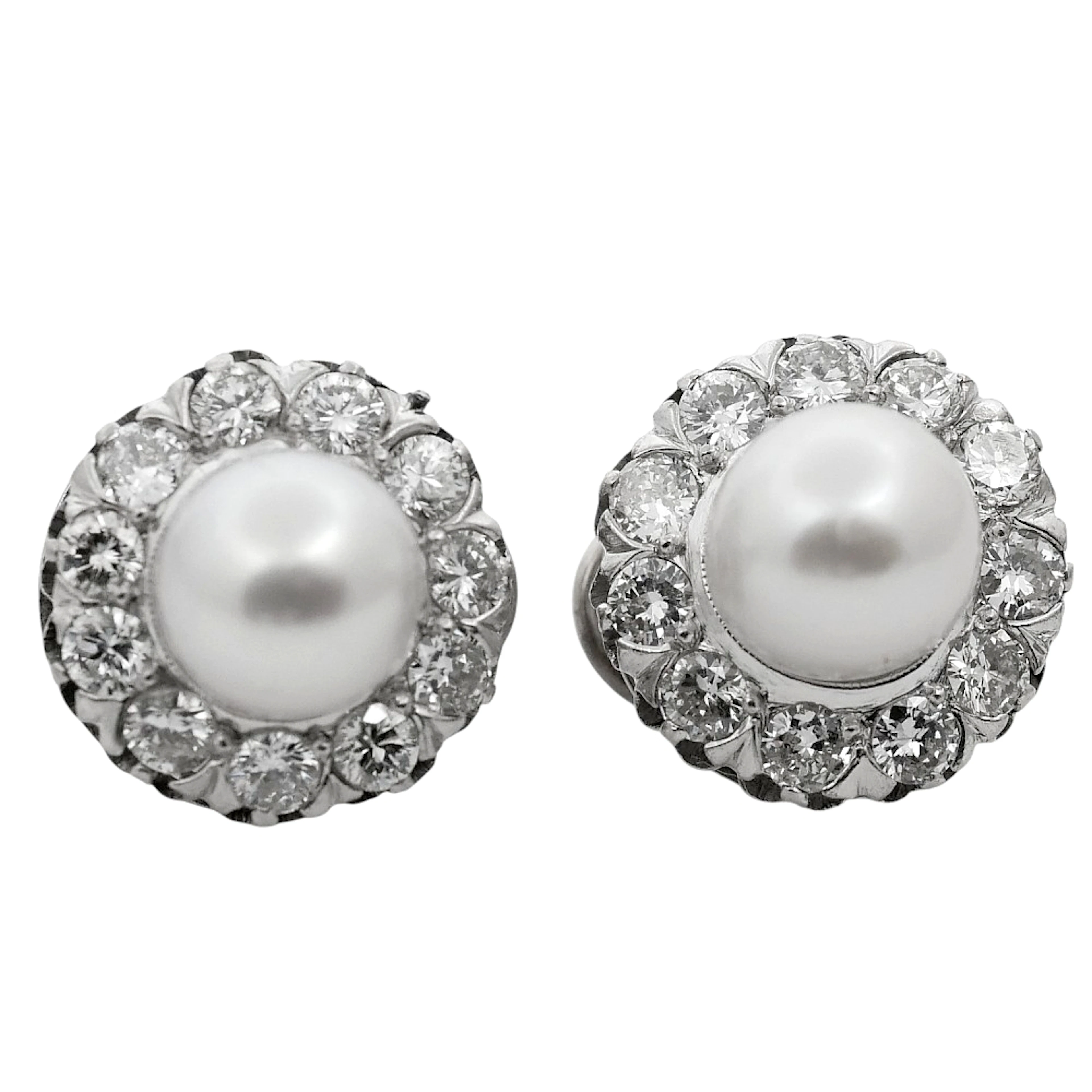 Pearl Diamond Gold Halo Earrings