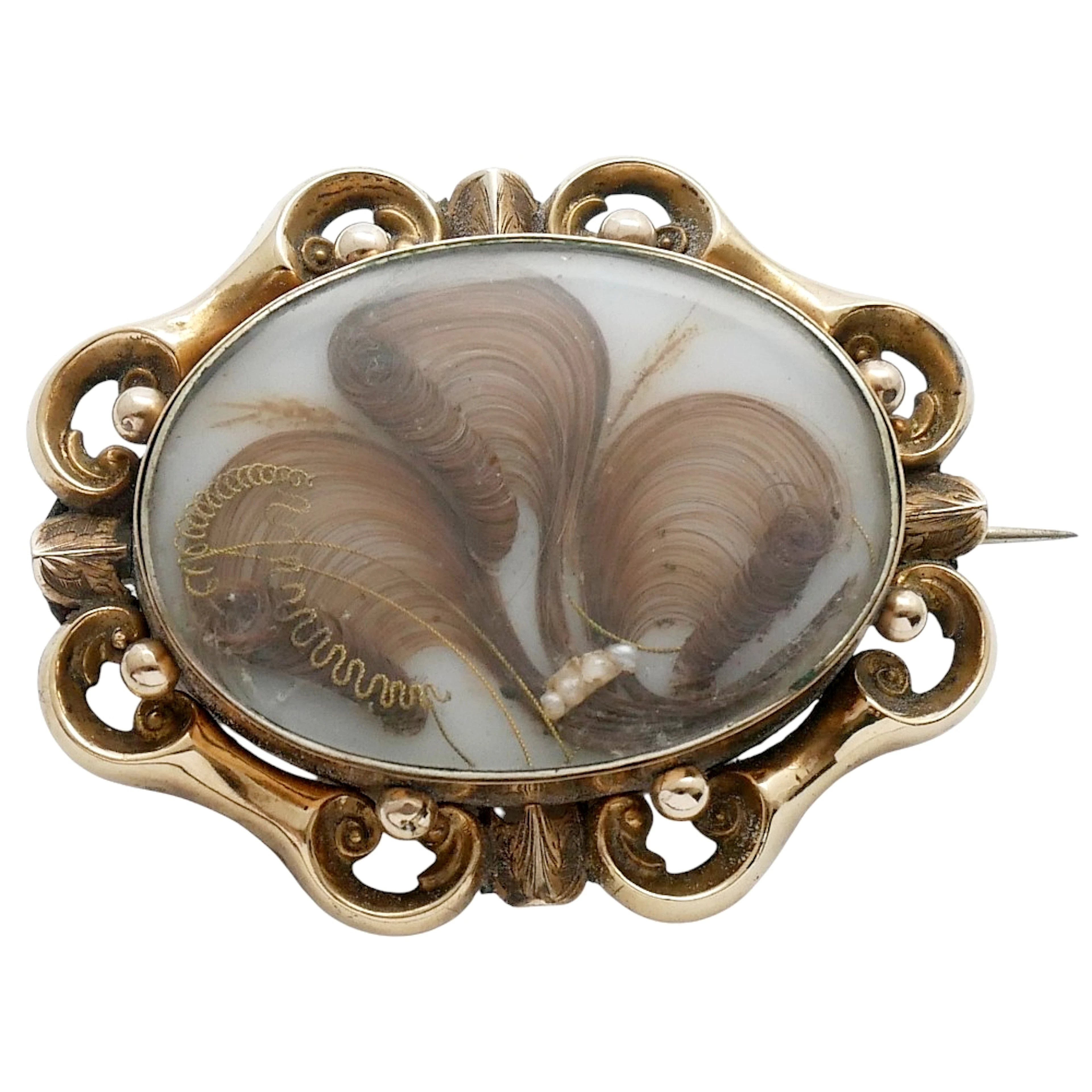 Victorian Gold Hair Memorial Brooch