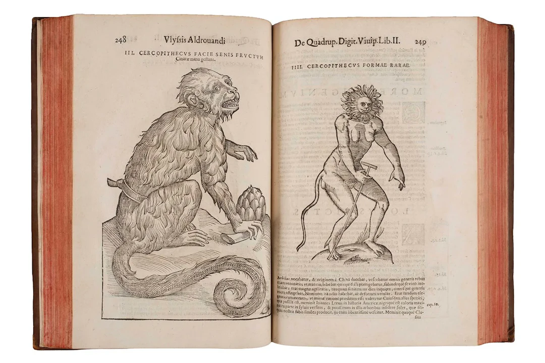 ALDROVANDI (Ulysses). *De quadrupedibus digitatis viviparis - Lot 2