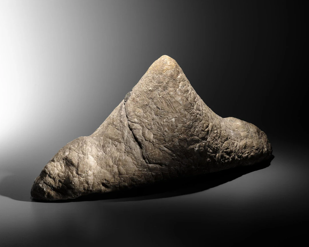 STONE - Lot 115