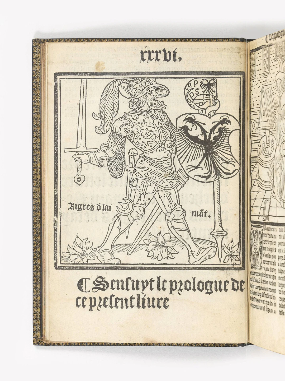 [BERINUS]. What follows is a description, in the form of a r - Lot 26