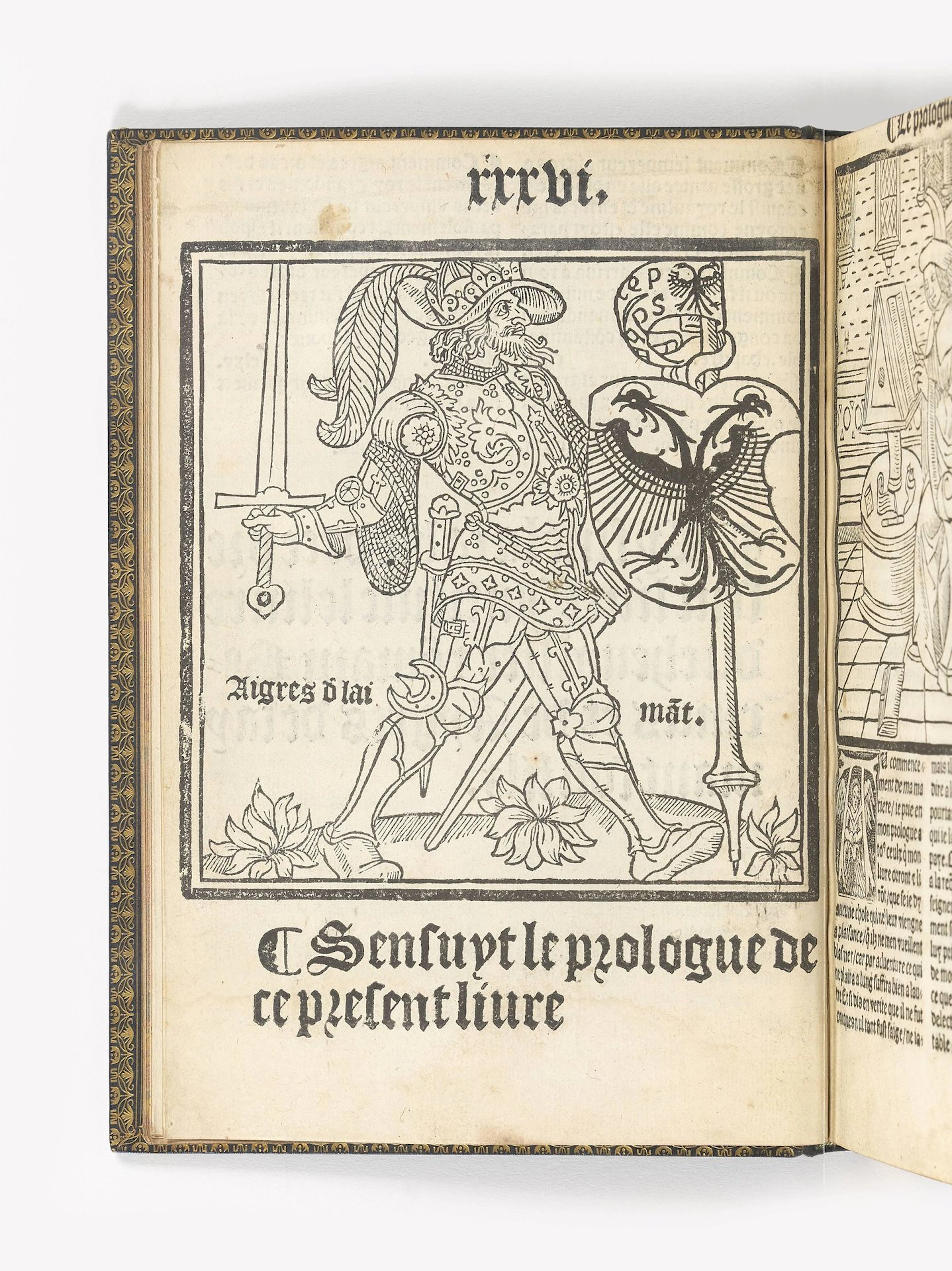 [BERINUS]. What follows is a description, in the form of a r - Lot 26