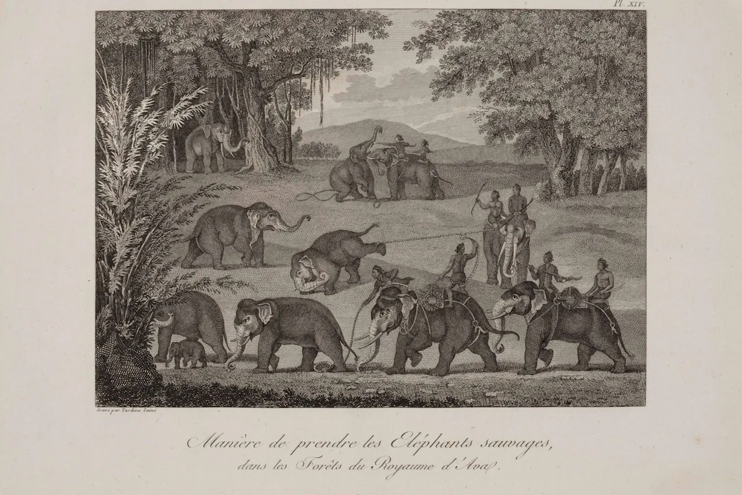 SYMES (Major Michel). Account of the English Embassy Sent in - Lot 166