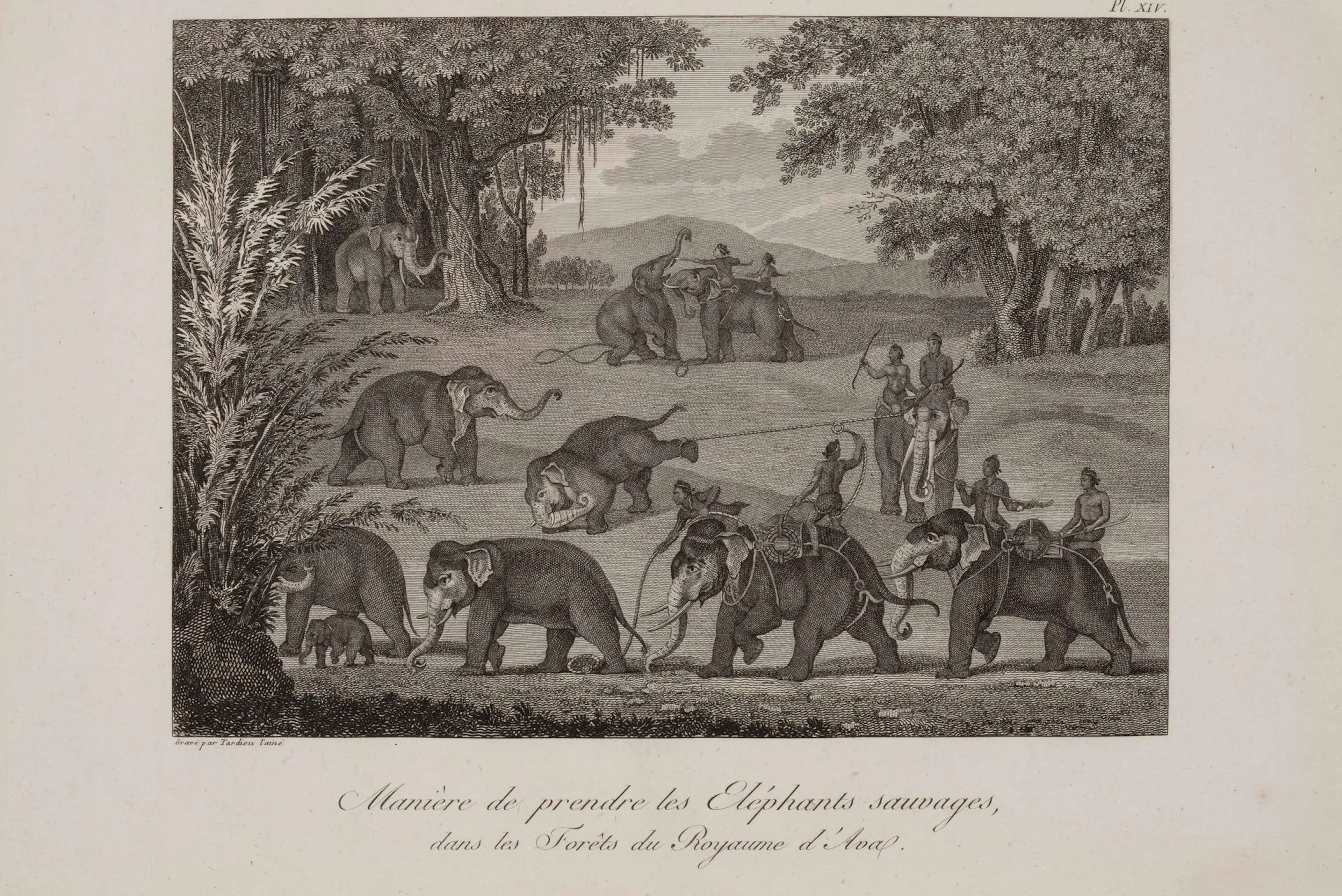 SYMES (Major Michel). Account of the English Embassy Sent in - Lot 166