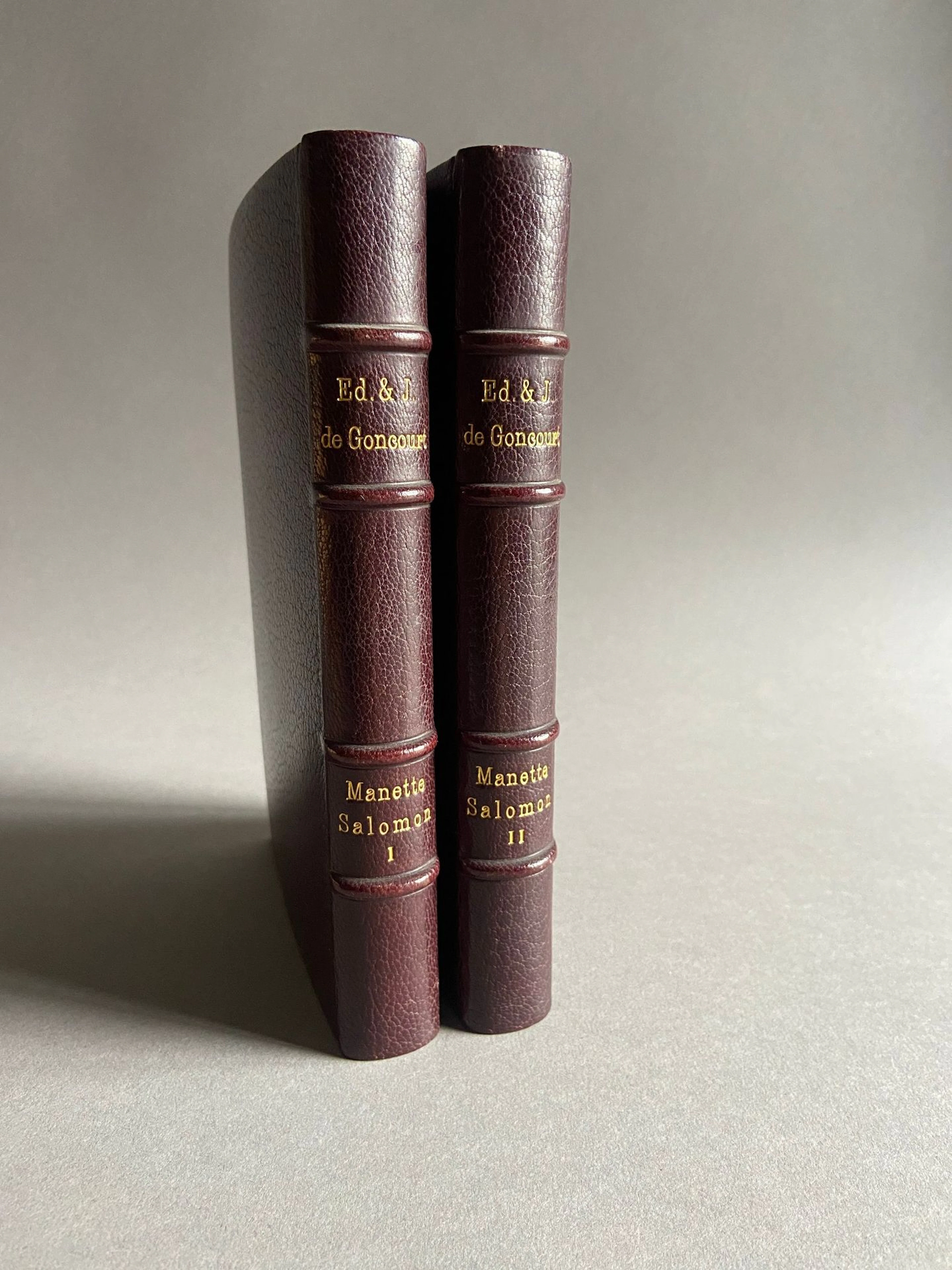 GONCOURT (Edmond and Jules de). *Manette Salomon*. Paris: Li - Lot 194
