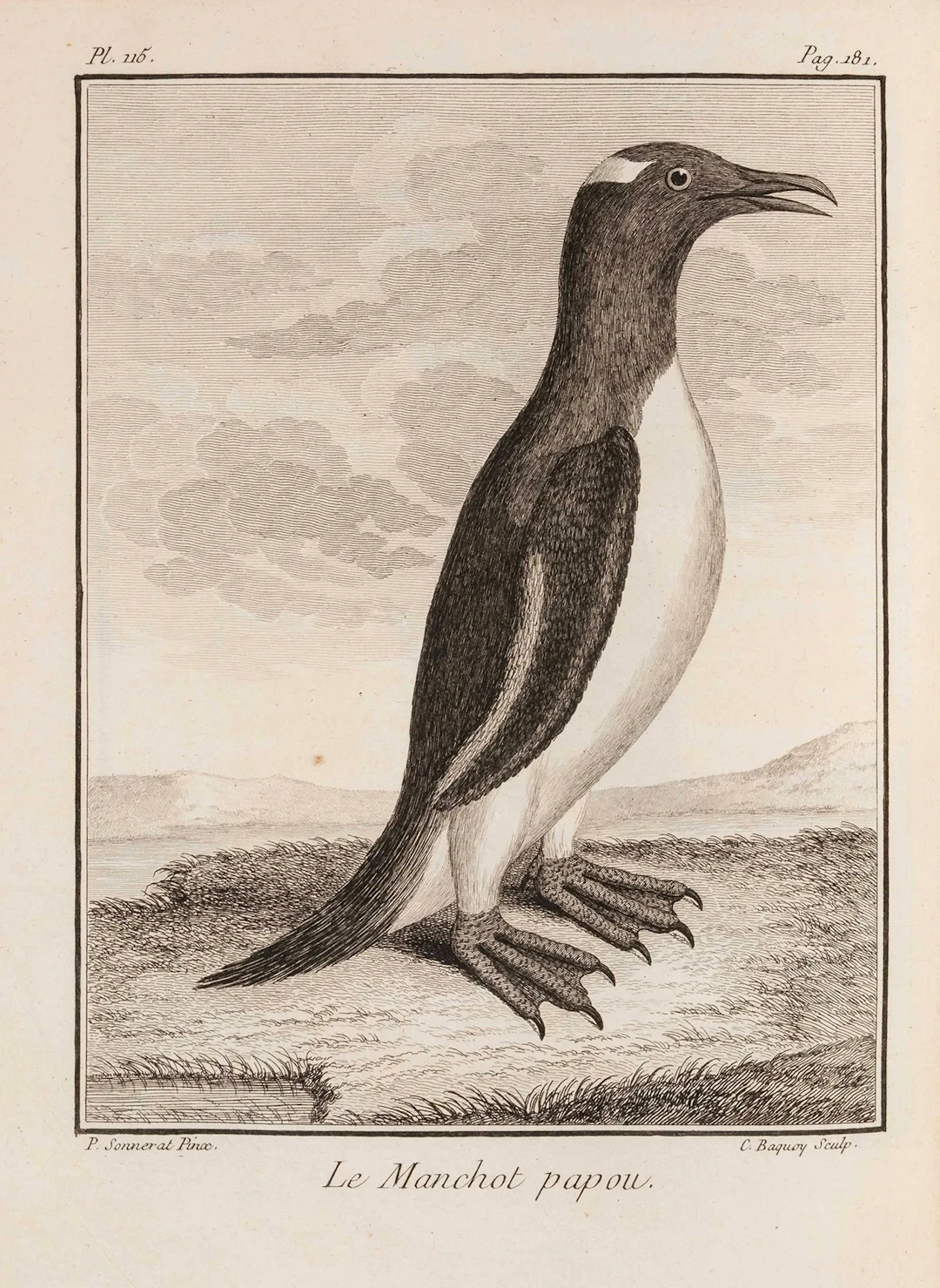 SONNERAT (Pierre). *Voyage to New Guinea*. Paris: Ruault, 17 - Lot 163