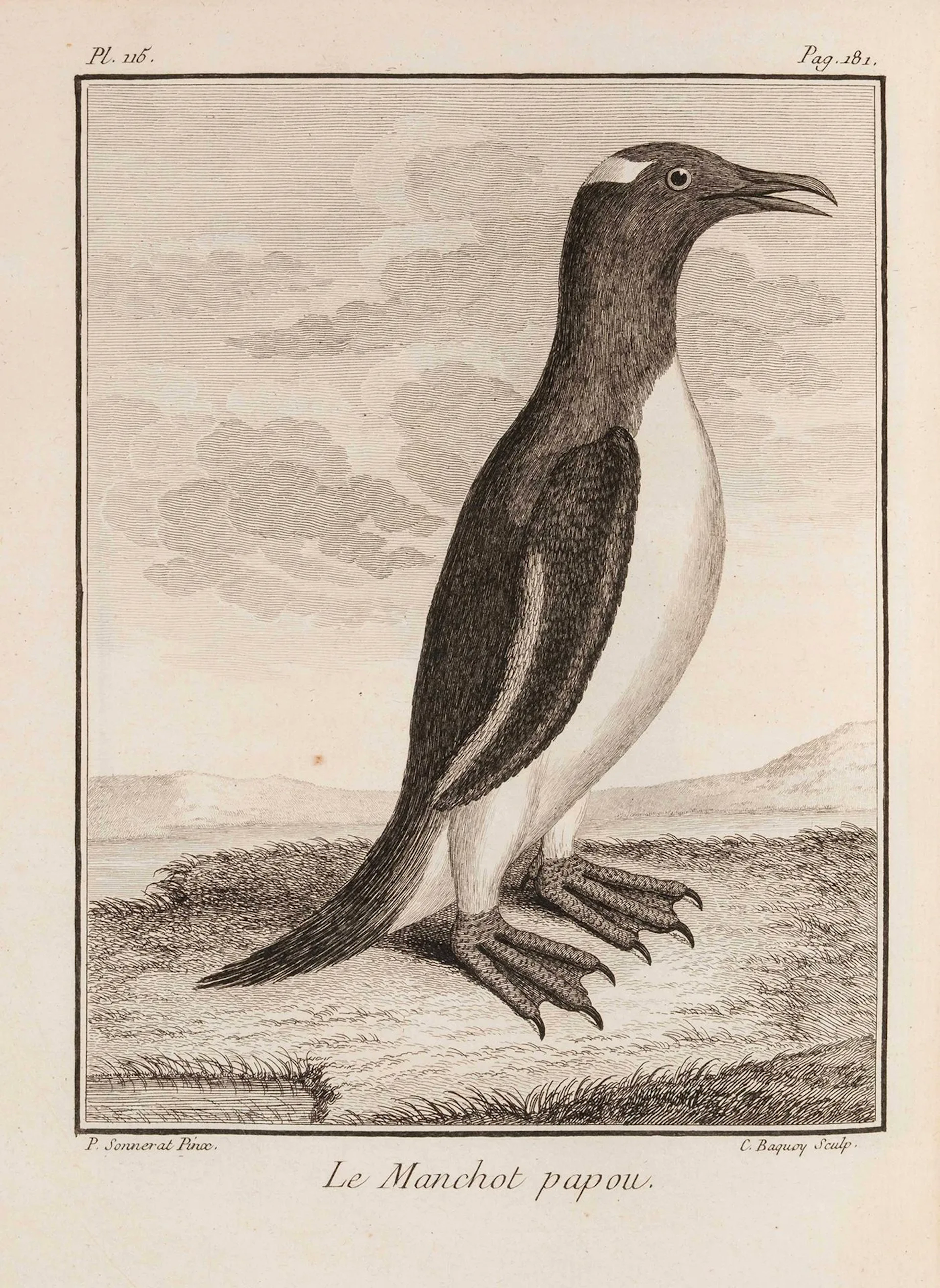 SONNERAT (Pierre). *Voyage to New Guinea*. Paris: Ruault, 17 - Lot 163