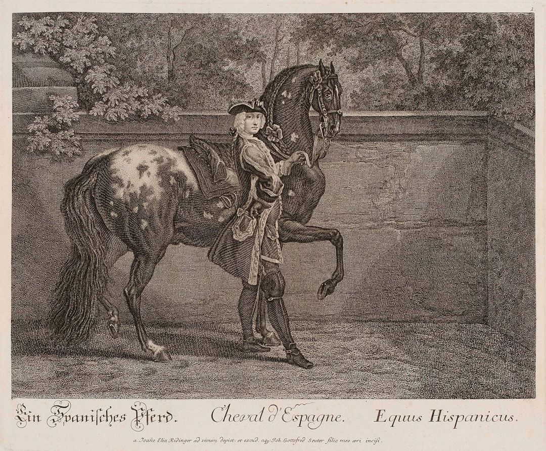 RIDINGER (Johann Elias). Türkischer Pferdsaufbuz samt einem - Lot 150