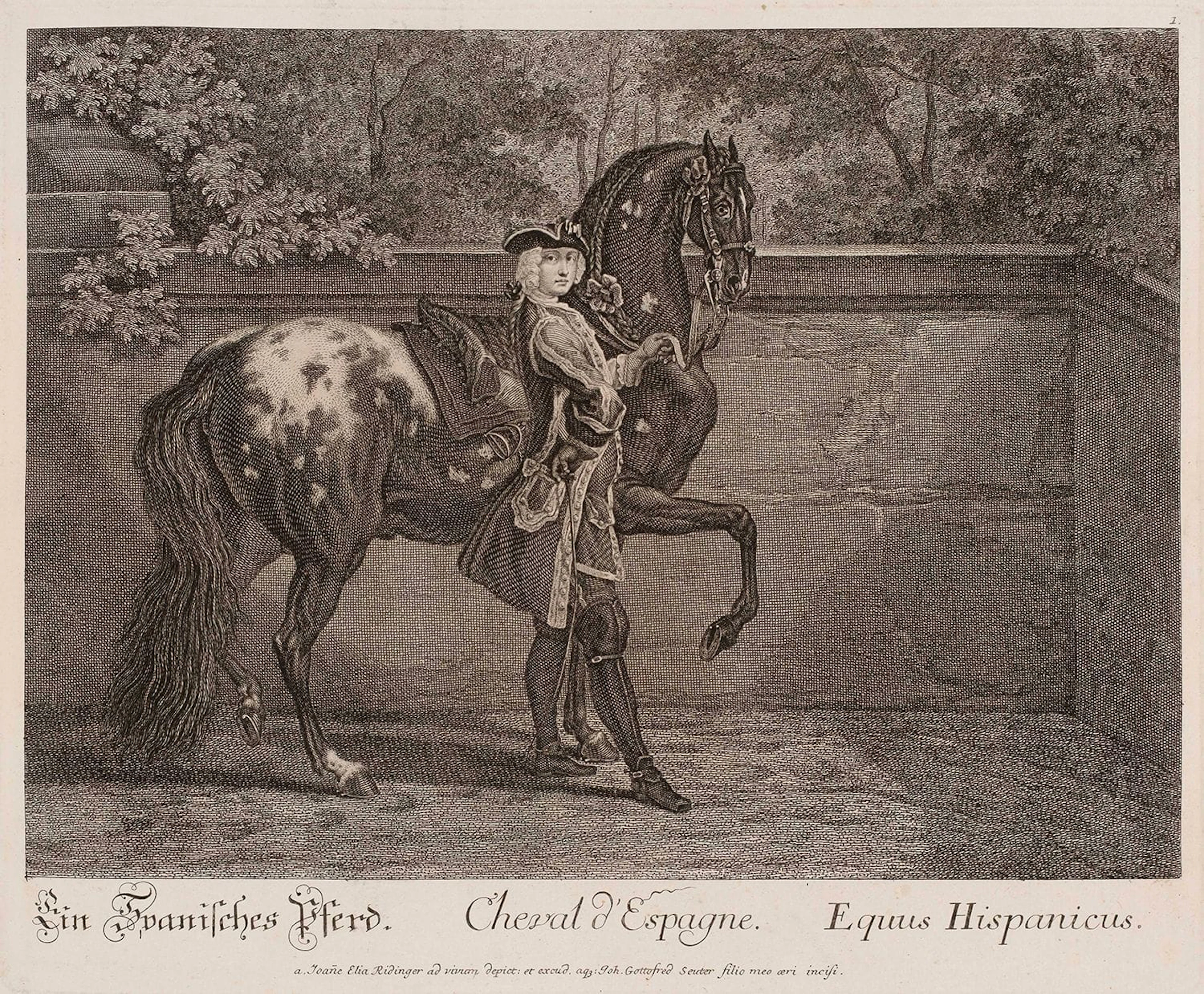 RIDINGER (Johann Elias). Türkischer Pferdsaufbuz samt einem - Lot 150