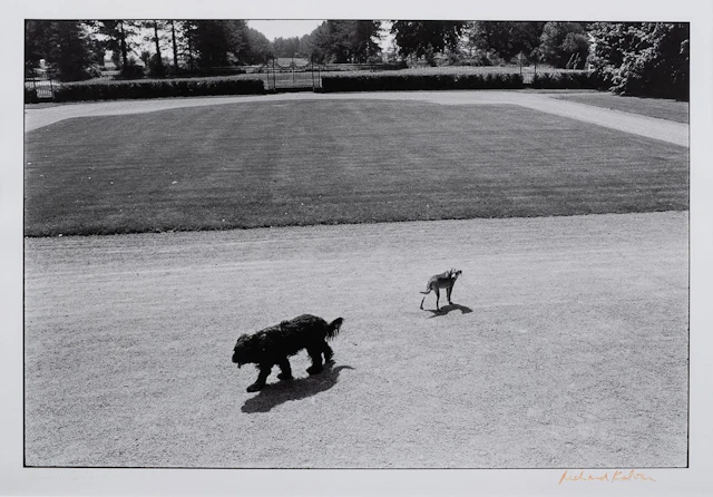 Richard KALVAR (born in 1944) - Lot 179