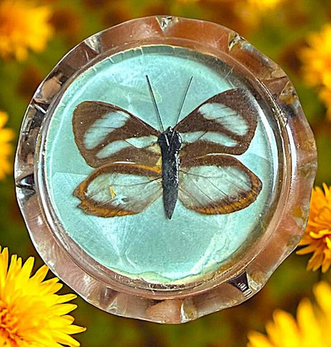 A DIVISION THREE PICTORIAL LUCITE BUTTON