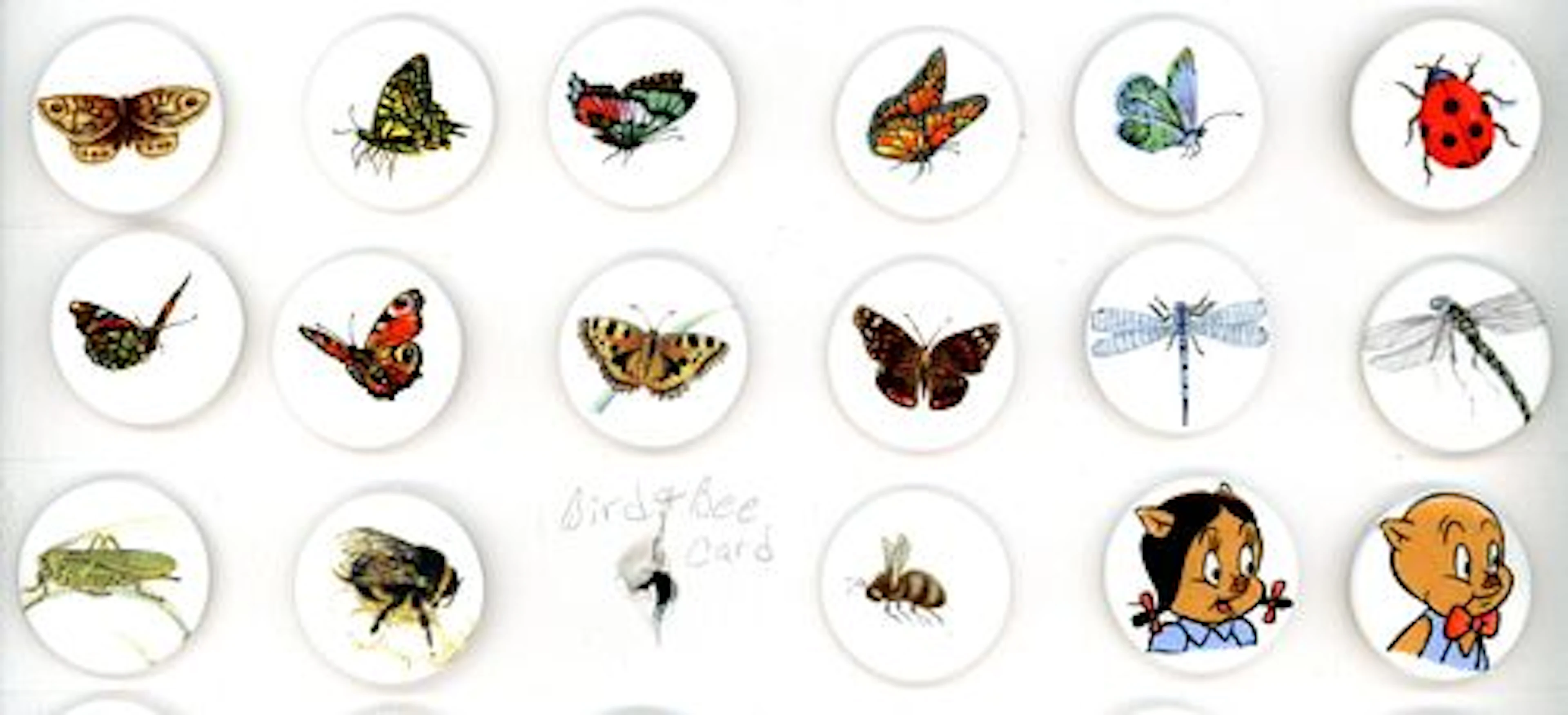A SMALL CARD OF DIVISION THREE ENGLISH CERAMIC BUTTONS