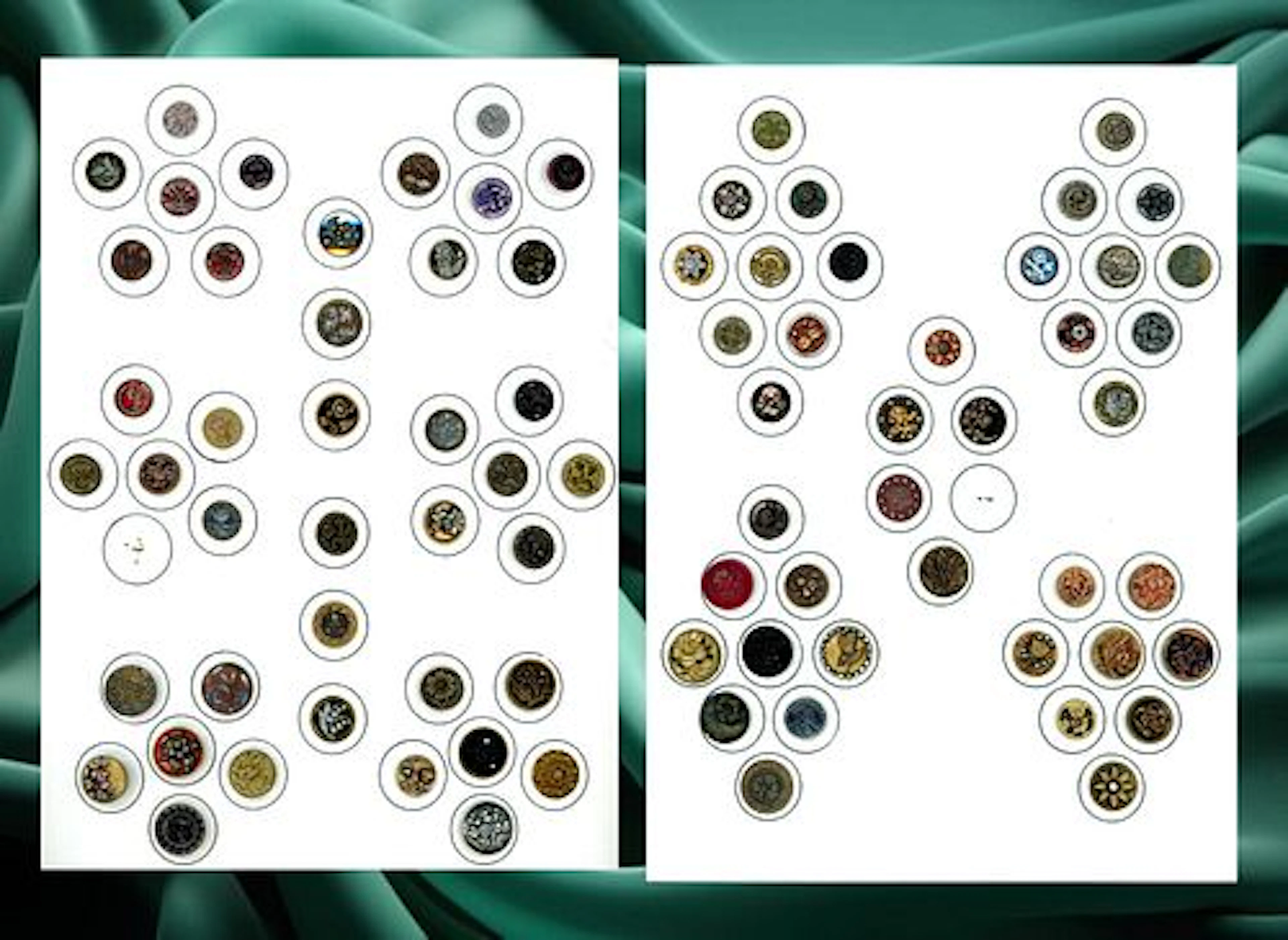 2 CARDS OF DIVISION ONE PICTORIAL PLANT LIFE BUTTONS