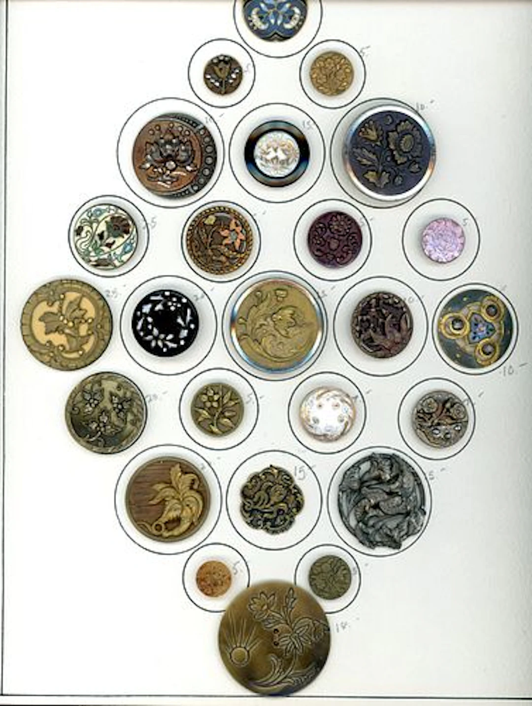 A CARD OF DIVISION 1 & 3 PLANT LIFE BUTTONS