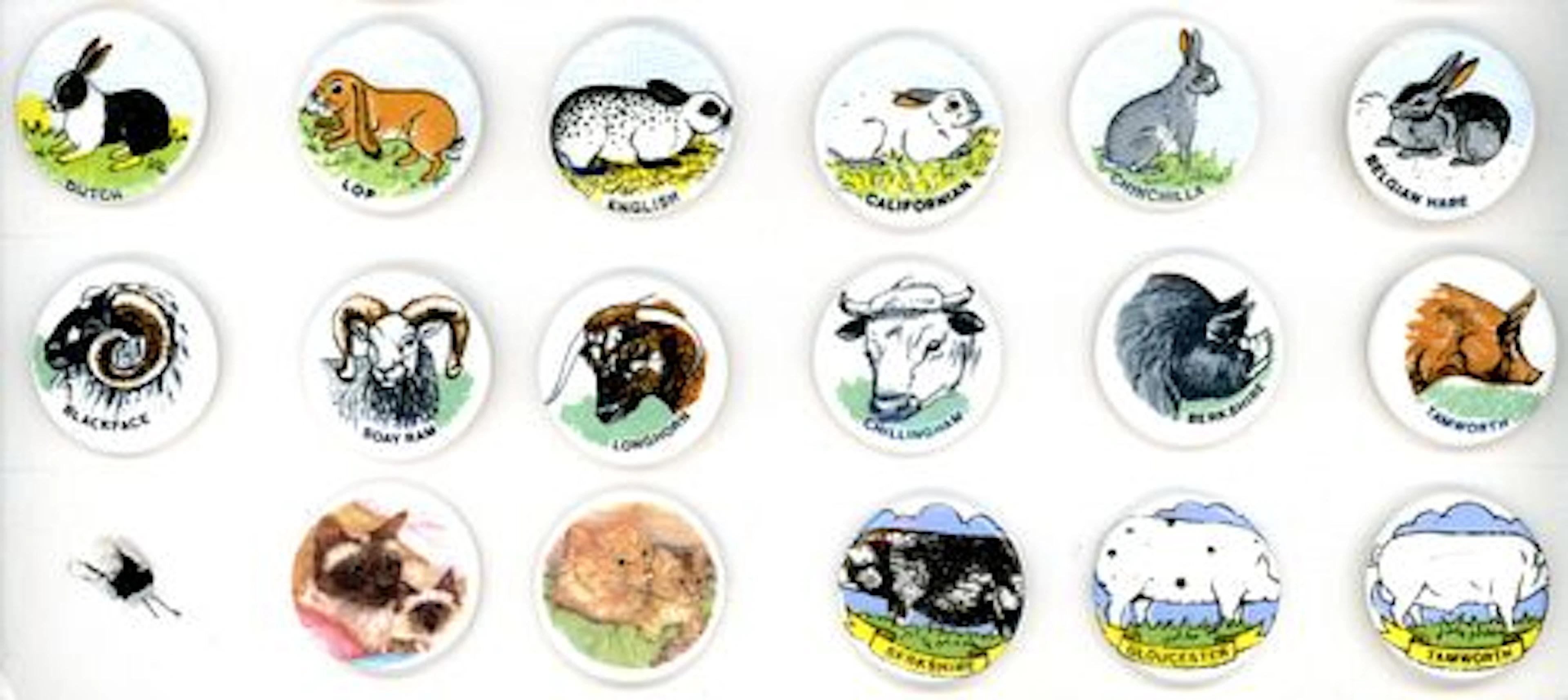A SMALL CARD OF DIVISION THREE ENGLISH CERAMIC BUTTONS