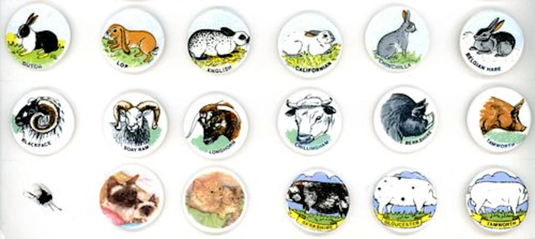 A SMALL CARD OF DIVISION THREE ENGLISH CERAMIC BUTTONS