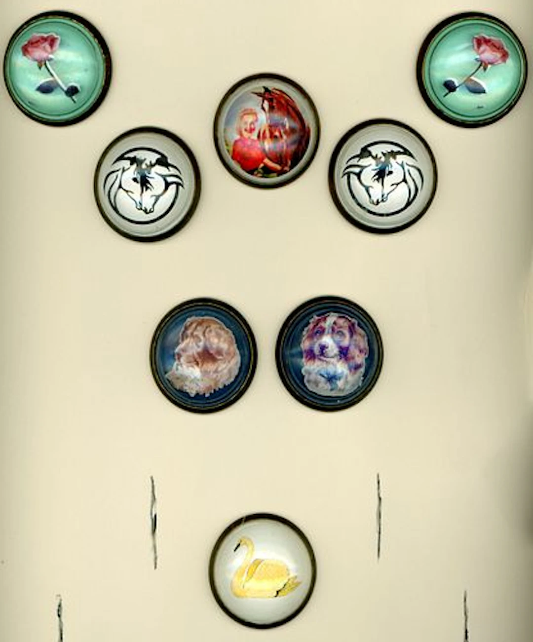A CARD OF DIVISION ONE BRIDLE ROSETTES