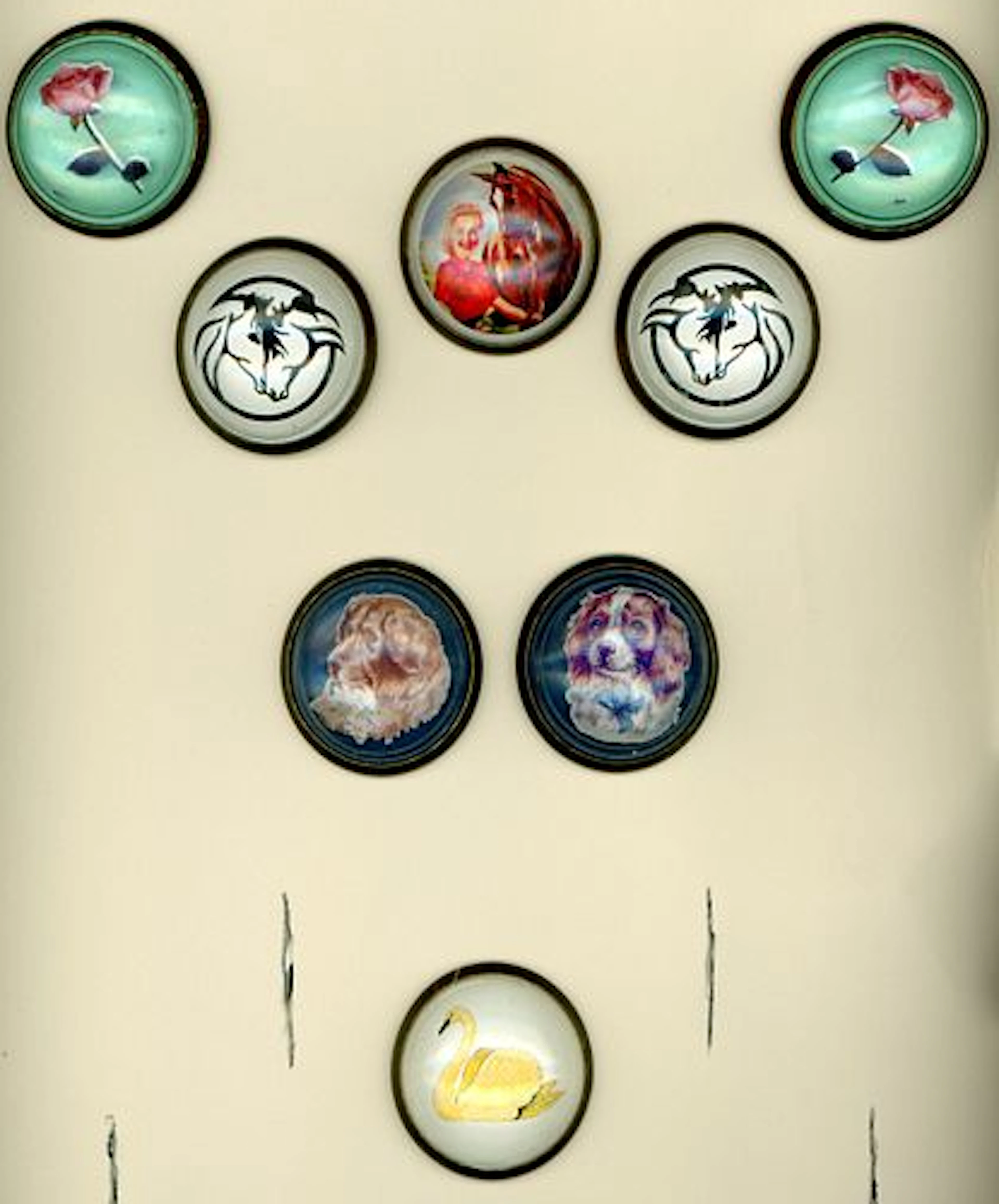 A CARD OF DIVISION ONE BRIDLE ROSETTES