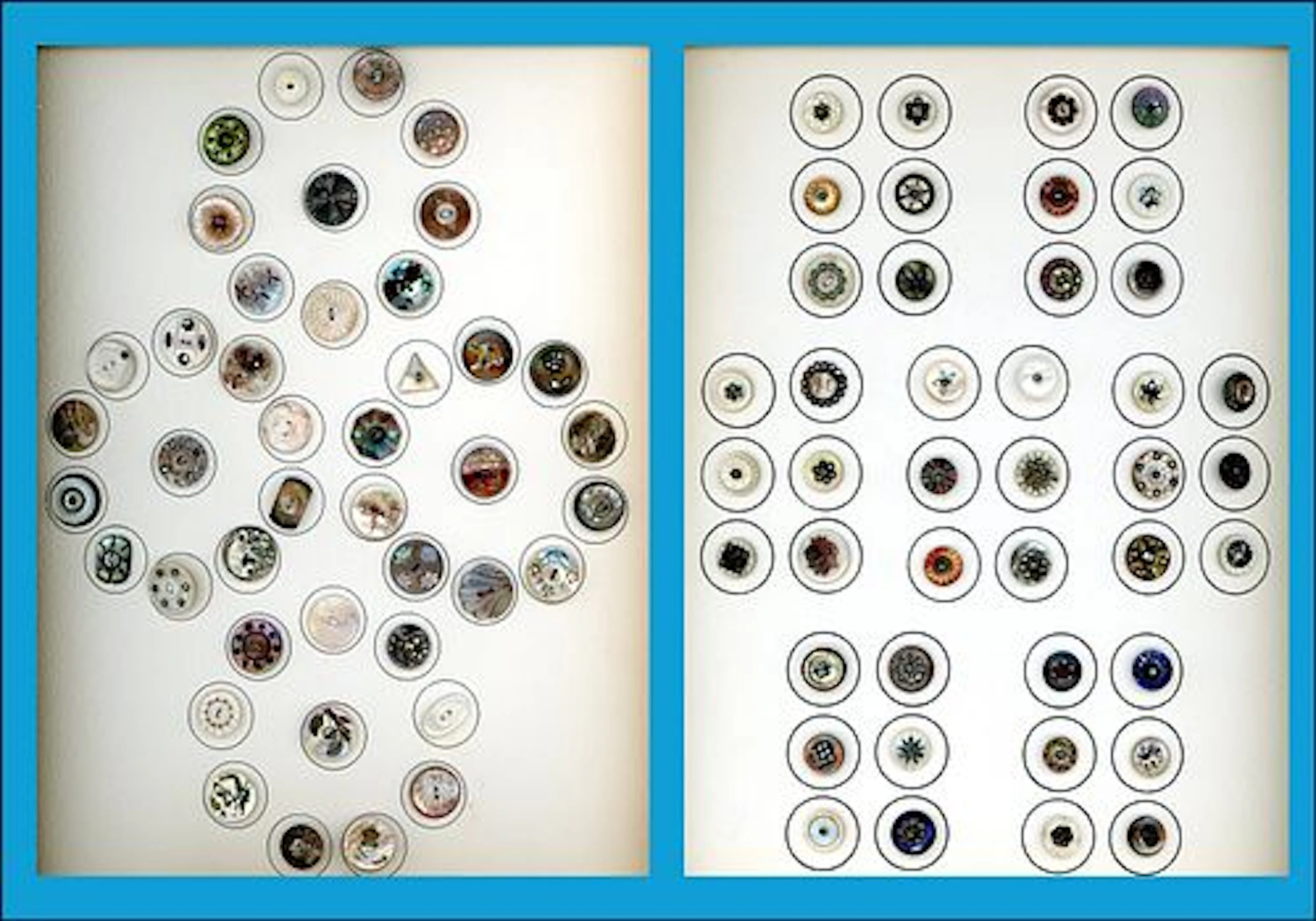 2 CARDS OF DIVISION ONE ASSORTED SHELL BUTTONS