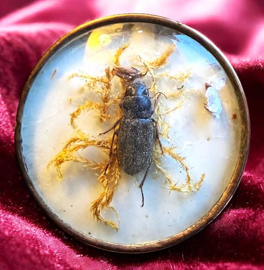 A DIVISION ONE UNDER GLASS BUTTON