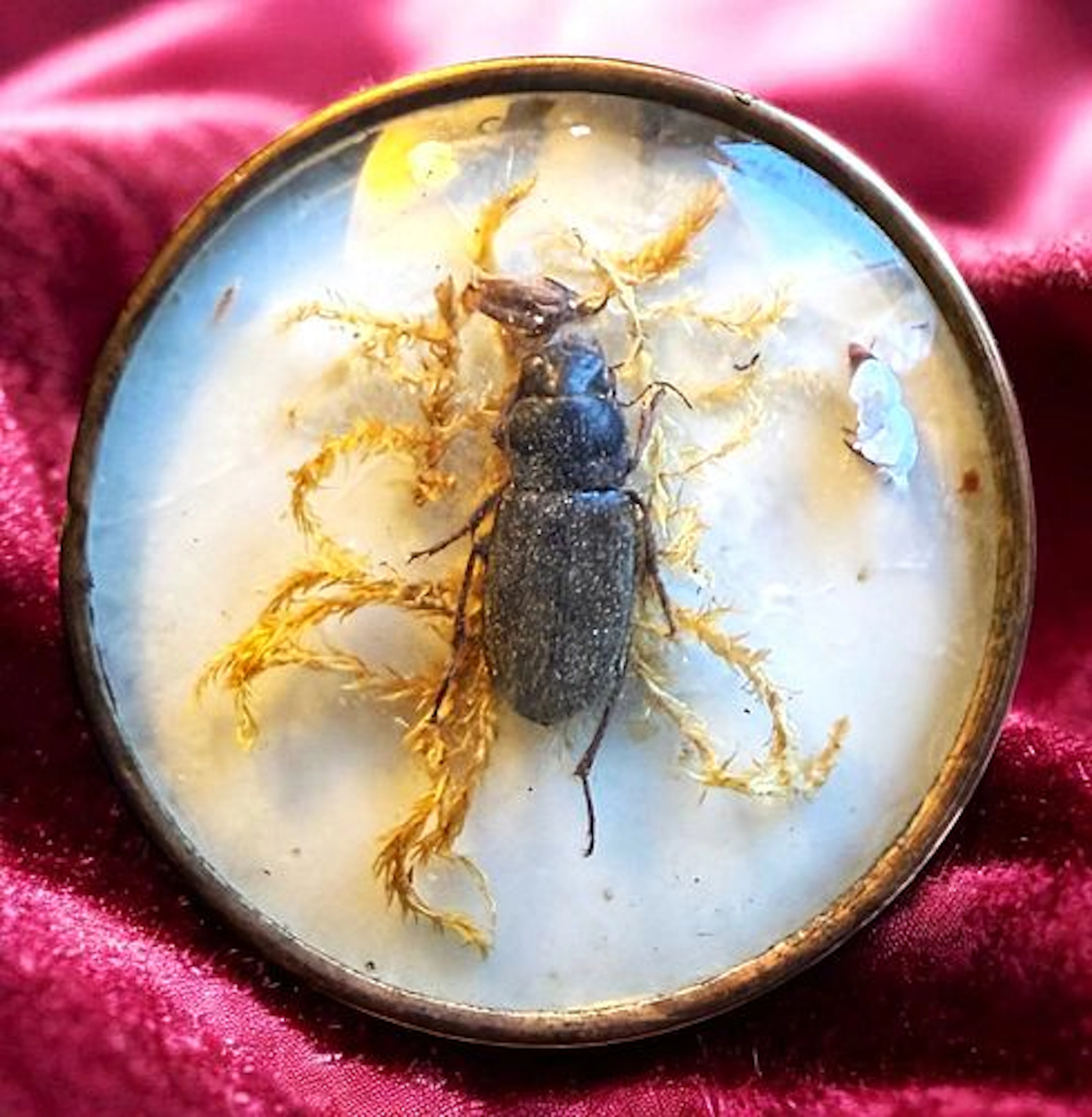 A DIVISION ONE UNDER GLASS BUTTON