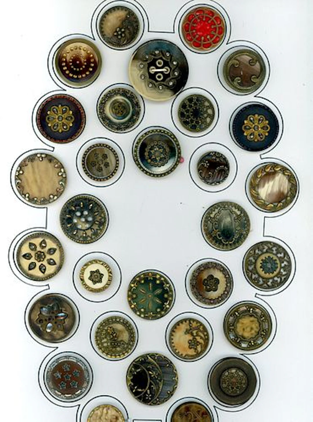 A CARD OF DIVISION ONE VICTORIAN CELLULOID BUTTONS