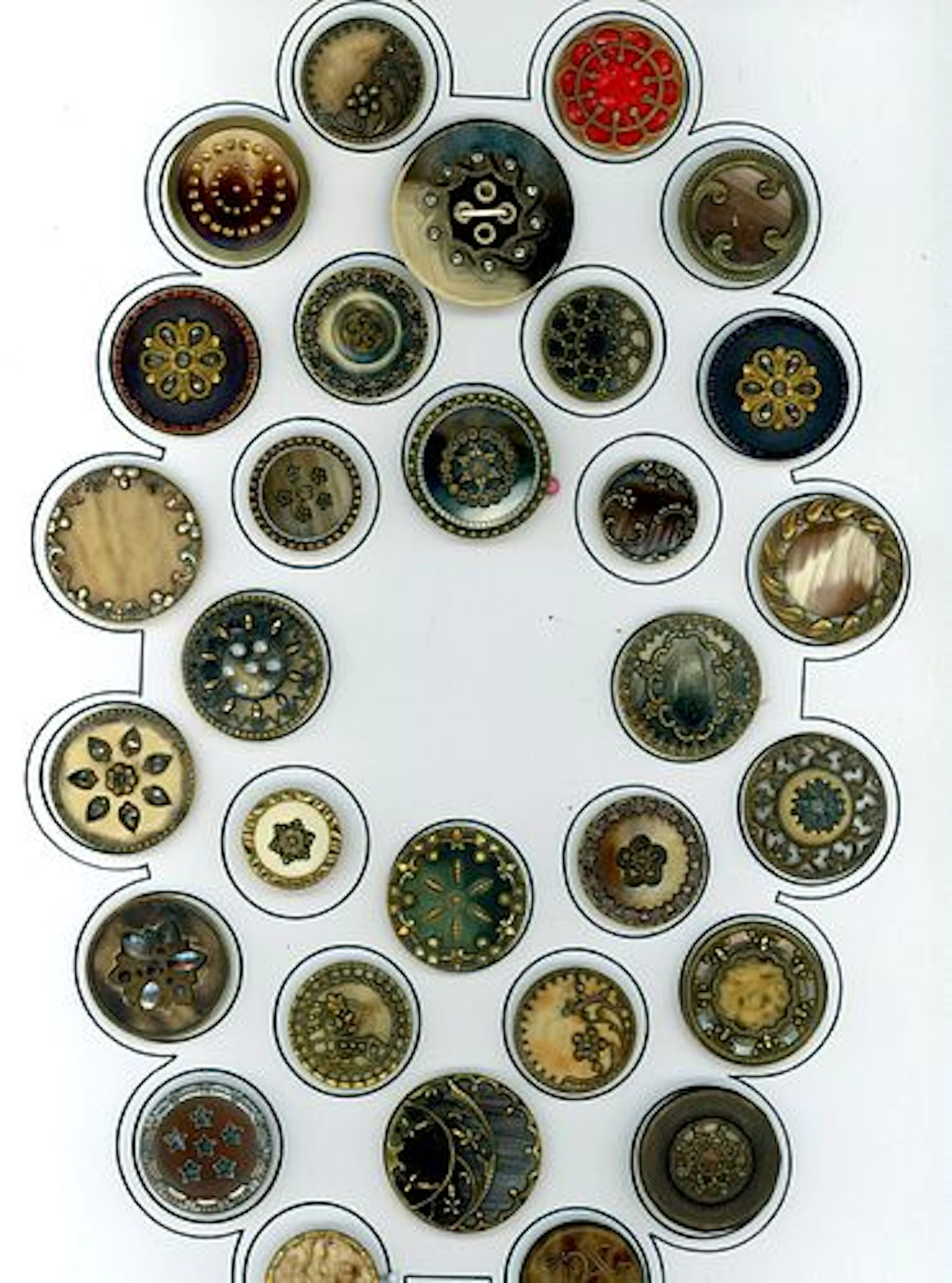 A CARD OF DIVISION ONE VICTORIAN CELLULOID BUTTONS