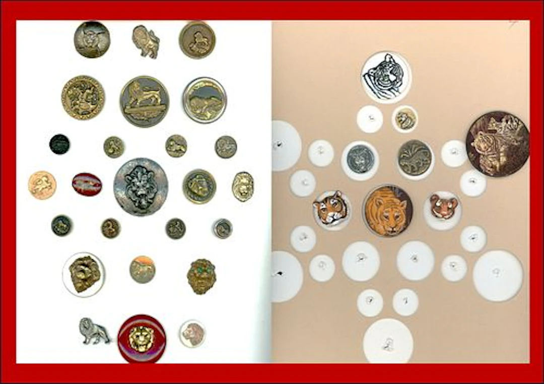 2 CARDS OF DIVISION ONE AND THREE ANIMAL LIFE BUTTONS