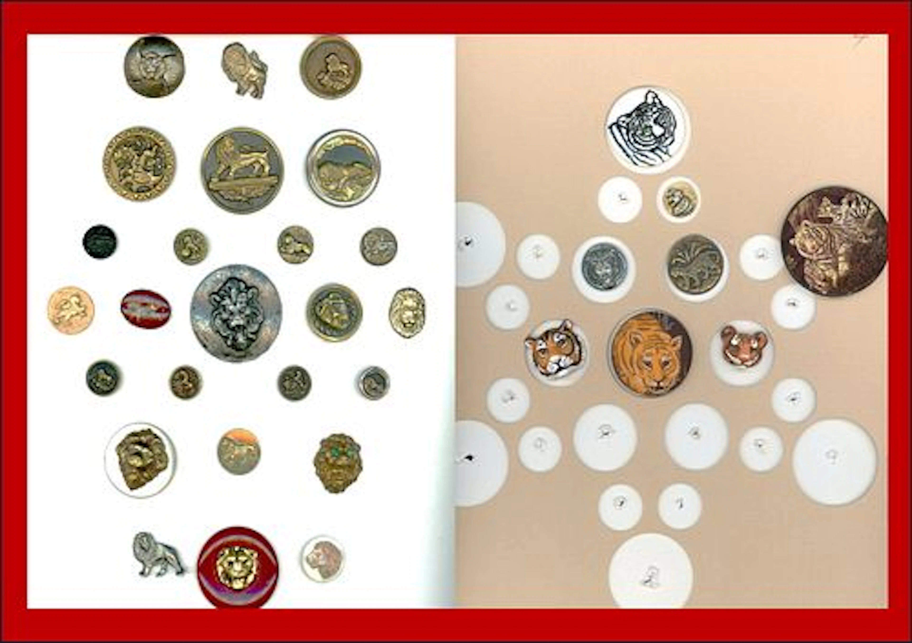 2 CARDS OF DIVISION ONE AND THREE ANIMAL LIFE BUTTONS