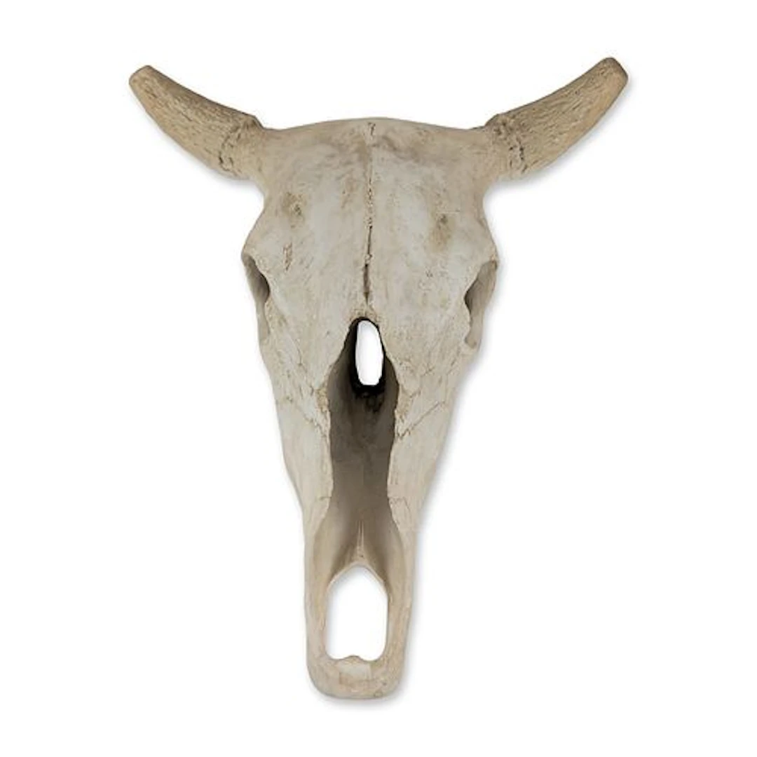 Faux Taxidermy Weathered Bison Skull Wall Decor - Rustic Resin Buffalo Mount