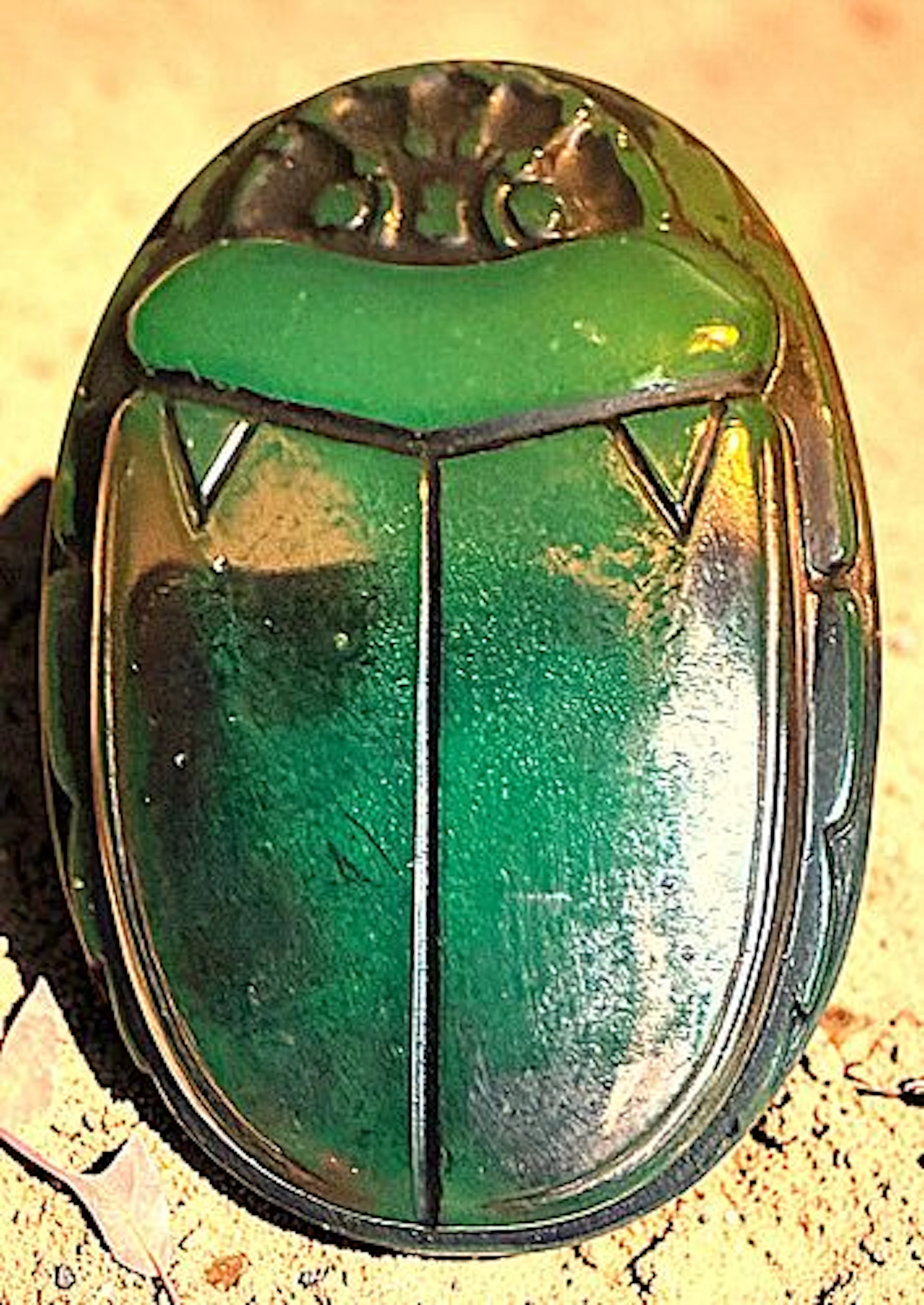A DIVISION ONE PICTORIAL GLASS BUTTON