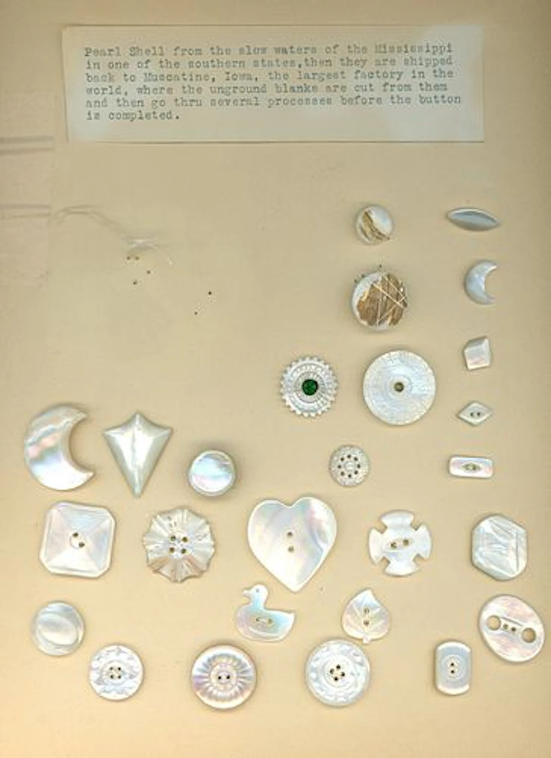 A CARD OF DIVISION ONE PEARL BUTTONS INCL. JEWELED