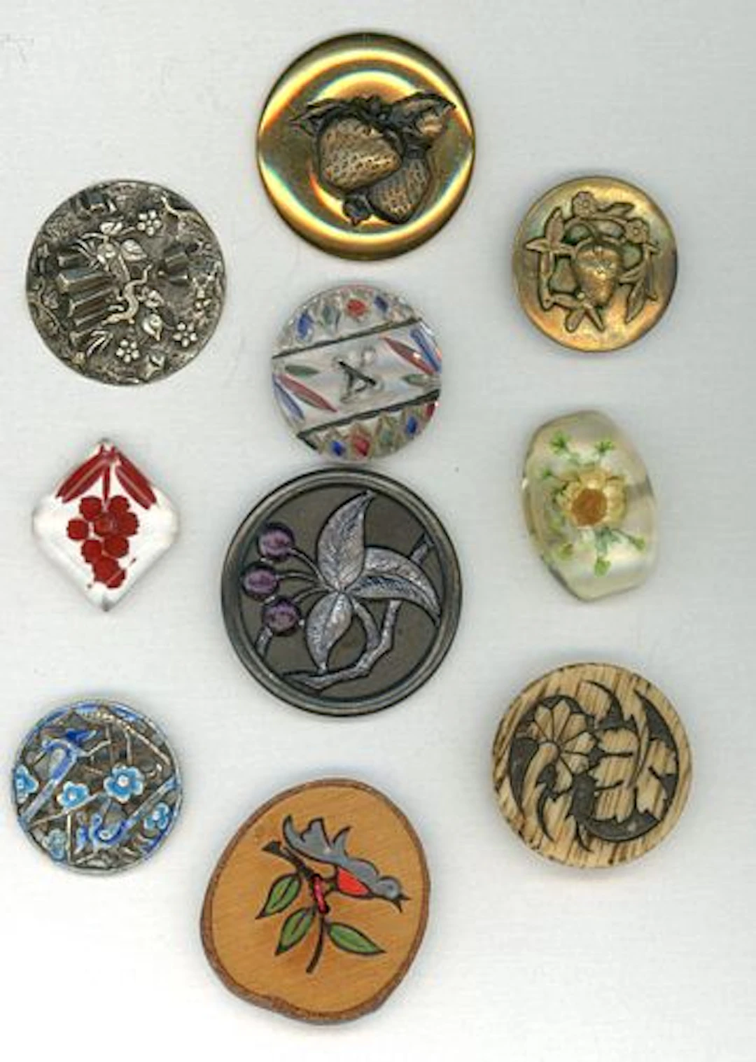 A SMALL CARD OF DIVISION 1 & 3 PLANT LIFE BUTTONS