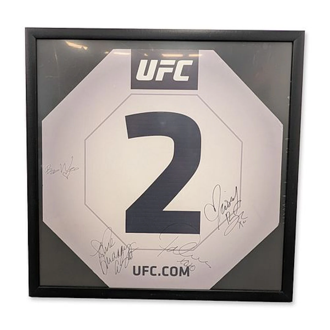 Signed UFC Round 2 Octagon Card, Brittney Palmer, Arianny Celeste, and More