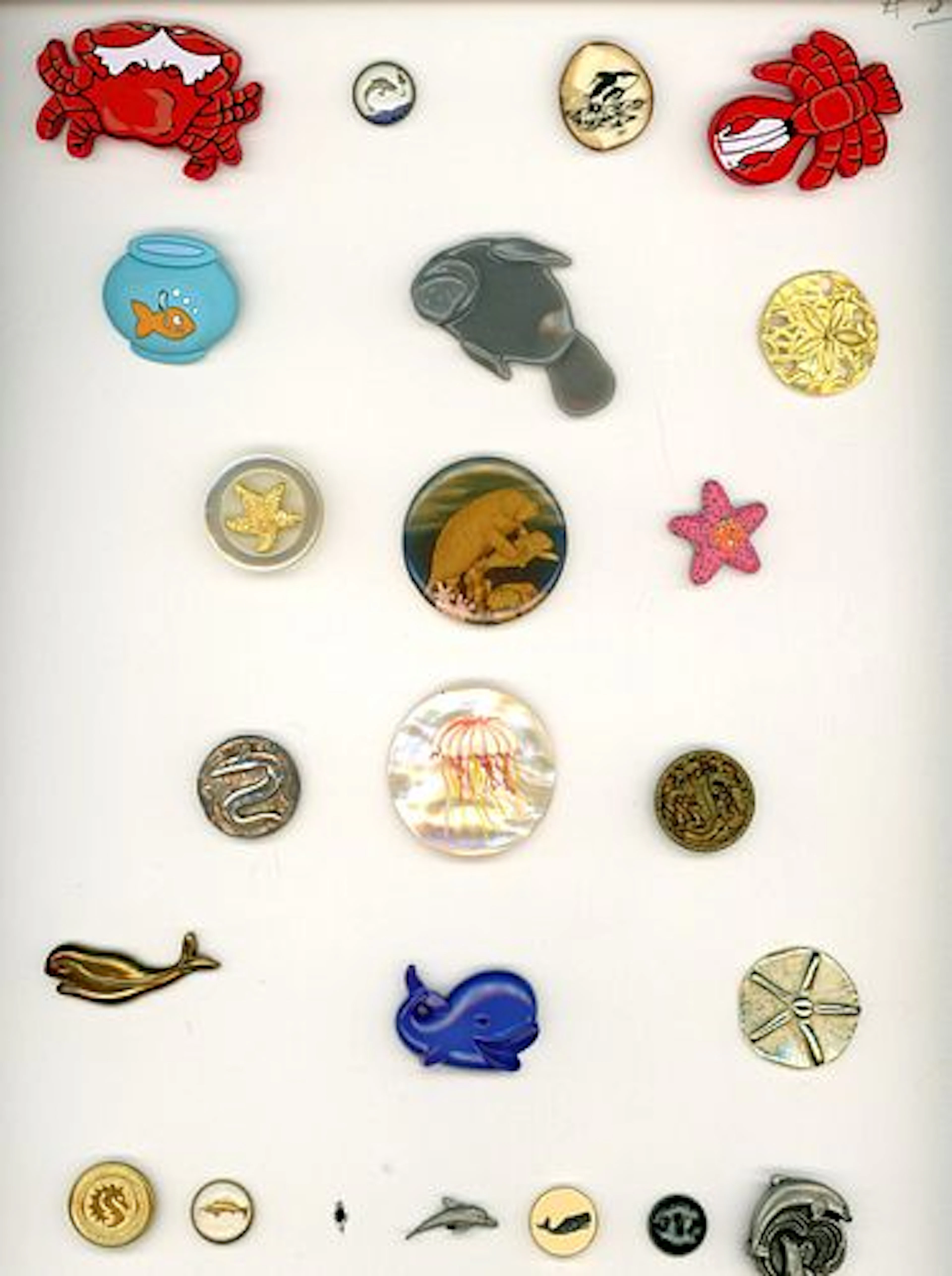 A CARD OF DIVISION THREE SEALIFE BUTTONS