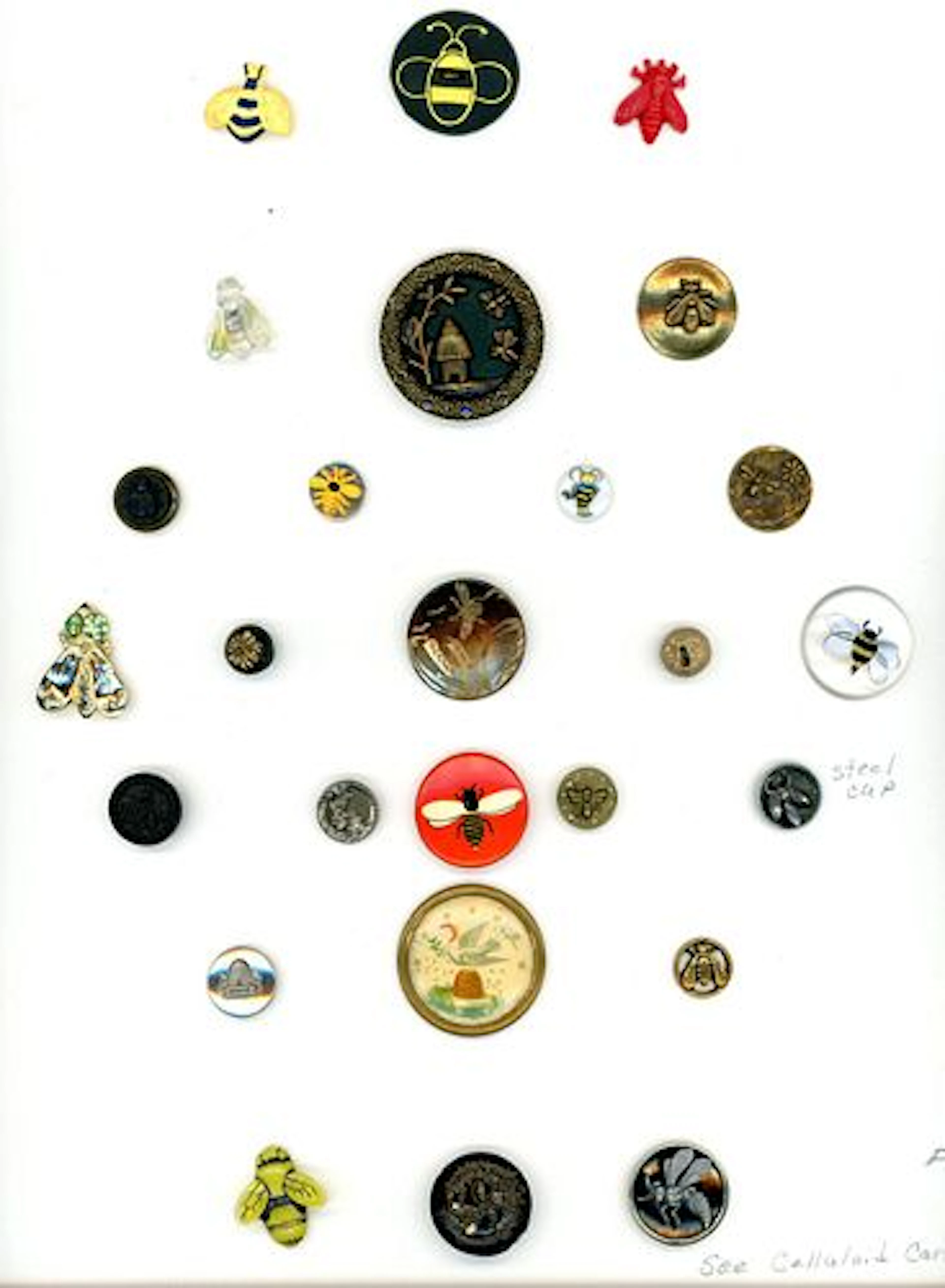 A CARD OF DIVISIOJN ONE AND THREE BEE BUTTONS