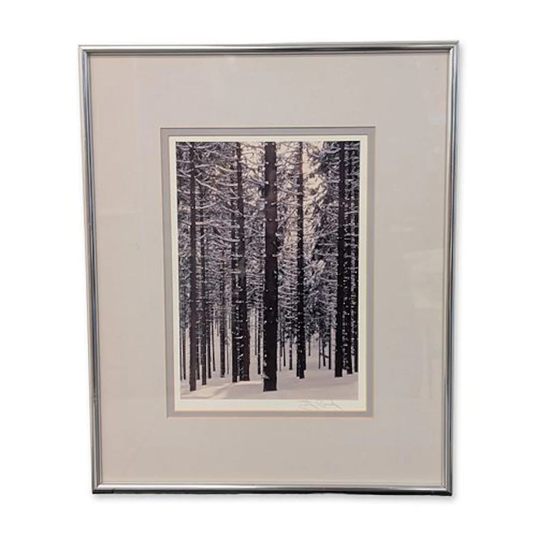 Stig Rossby (American 20th-21st century) Silver Gelatin Print, Black