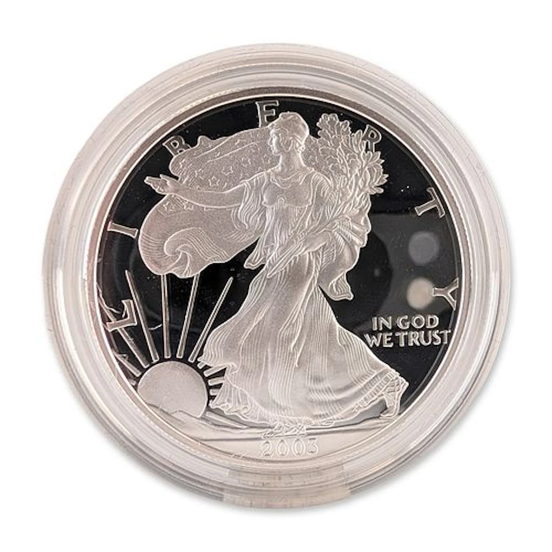 2003-W US Silver American Eagle One Dollar Proof Coin