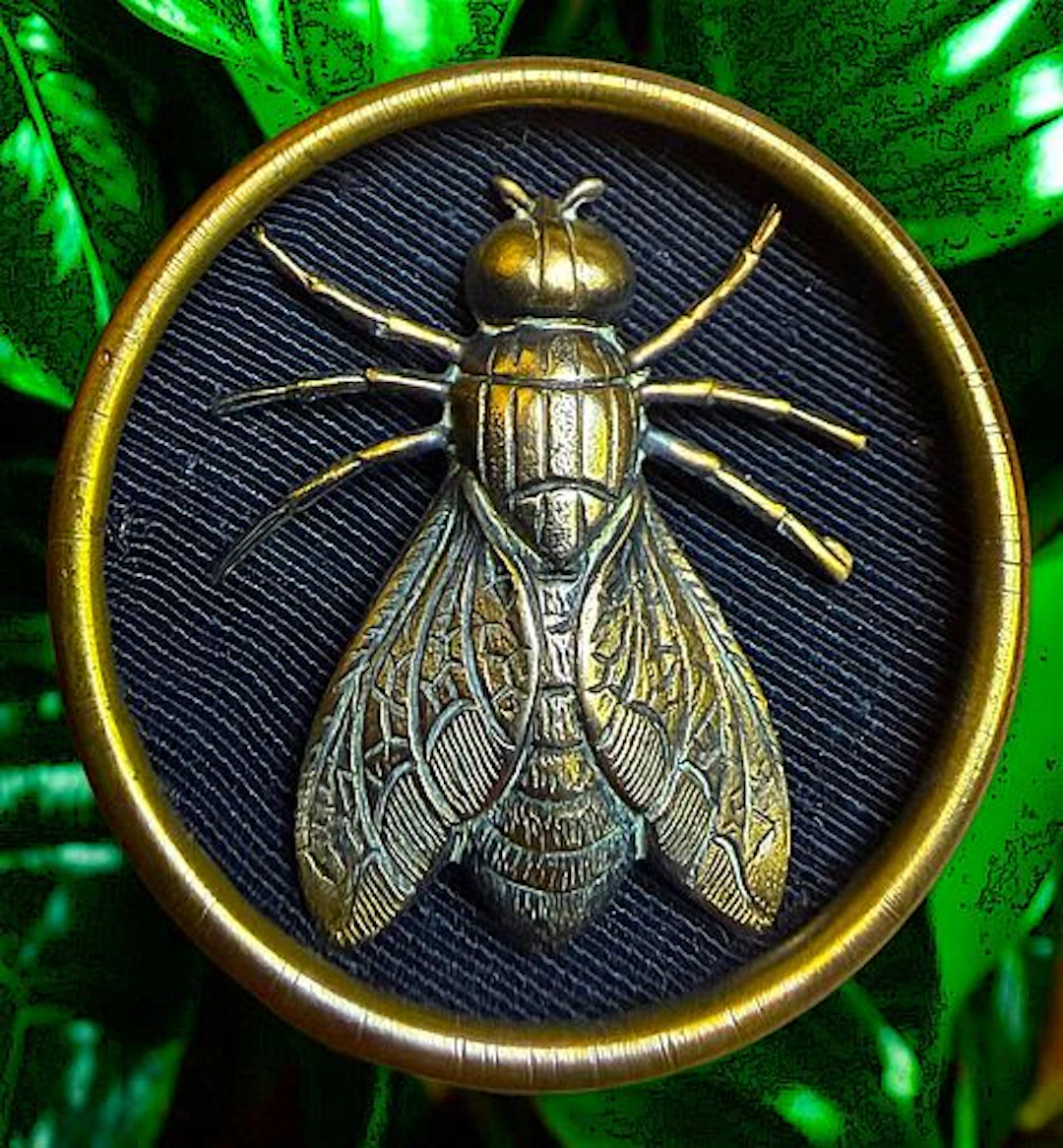 A FINE DIVISON ONE DETAILED PICTORIAL INSECT BUTTON