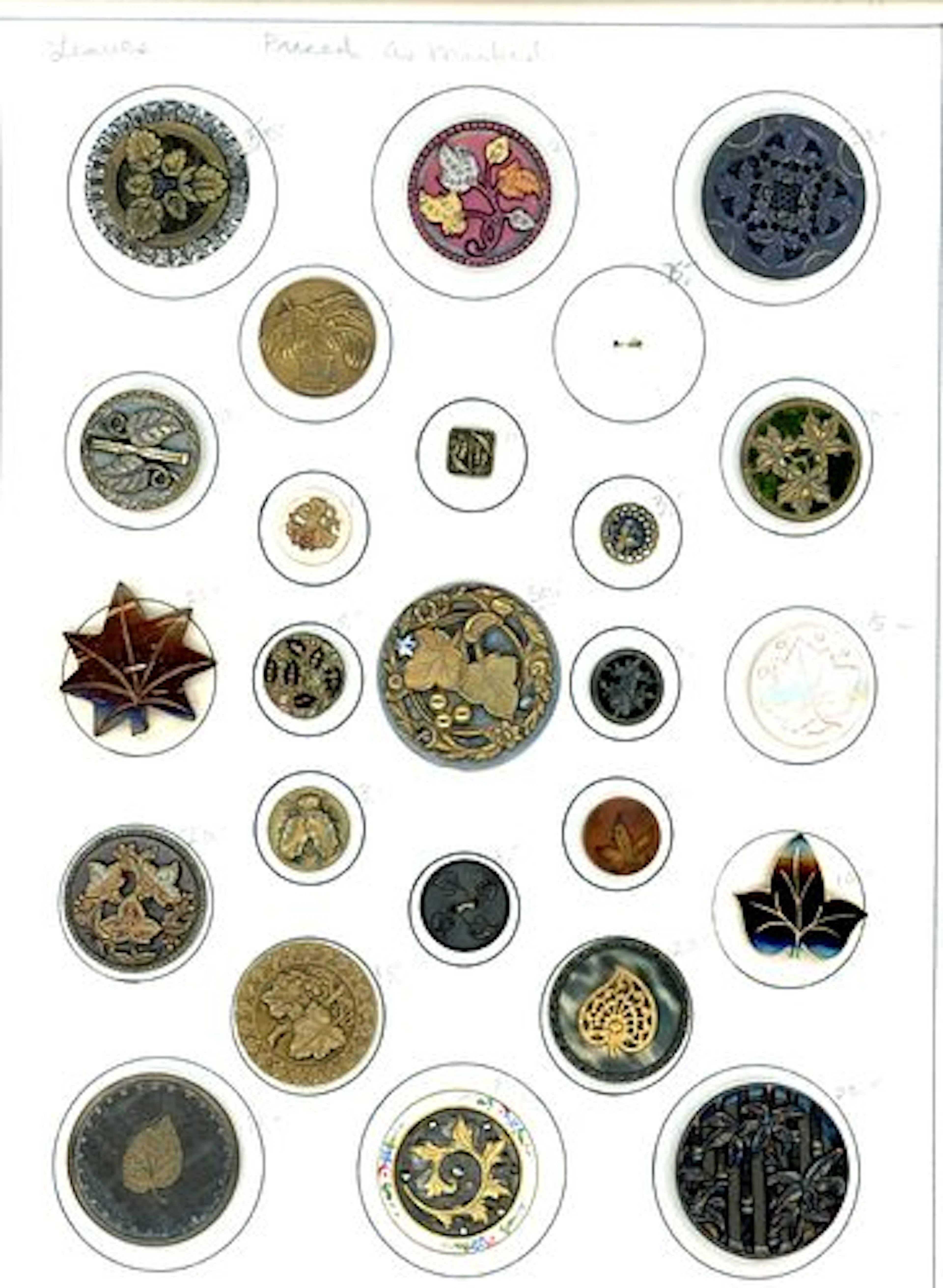 A CARD OF DIVISION 1 & 3 PLANT LIFE BUTTONS