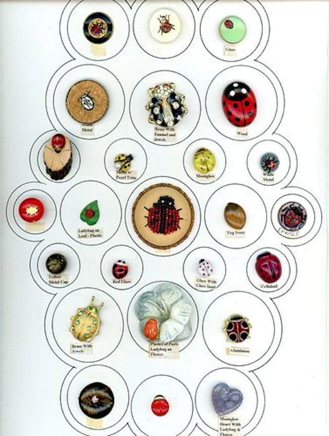 A CARD OF DIVISION ONE & THREE LADYBUG BUTTONS