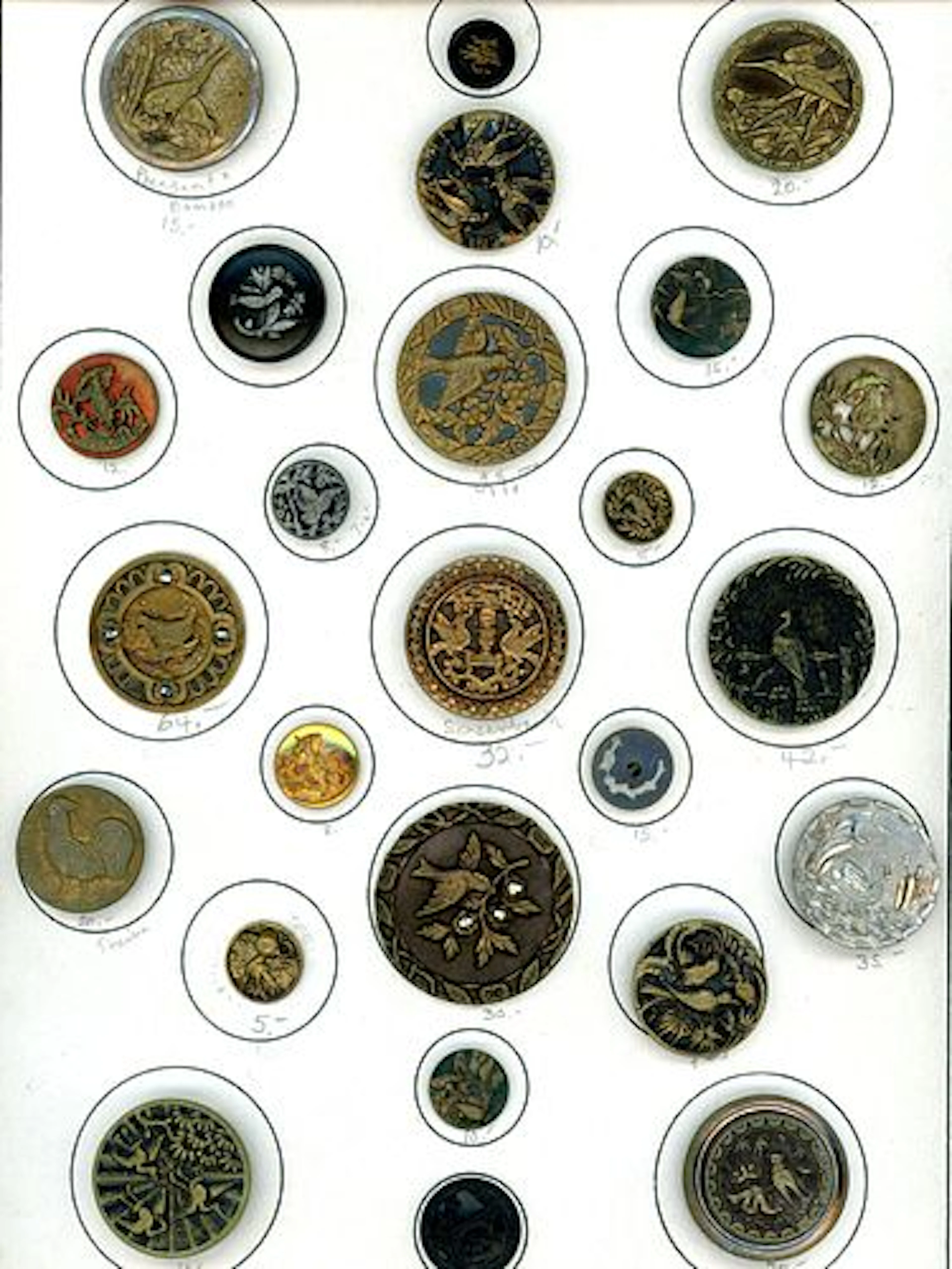 A CARD OF DIVISION ONE BIRD BUTTONS